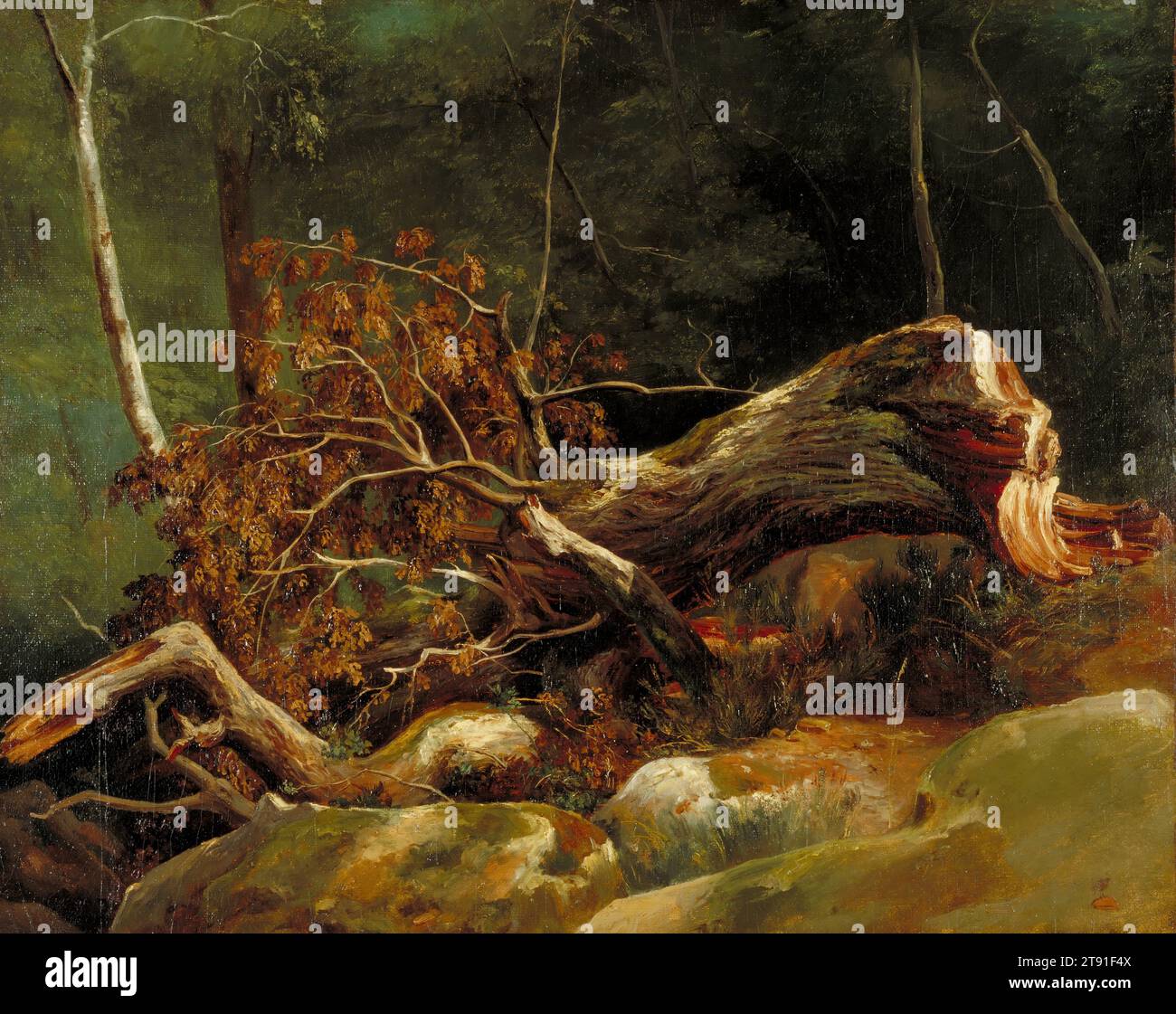 The Fallen Branch, Fontainebleau, um 1816, Achille Etna Michallon, Französisch, 1796 - 1822, 16 1/4 x 20 1/4 Zoll (41,28 x 51,44 cm) (Sichtweite)22 3/4 x 26 3/4 x 2 3/4 Zoll (57,79 x 67,95 x 6,99 cm) (Außenrahmen), Öl auf Leinwand auf Karte, Frankreich, 19. Jahrhundert, mit 14 Jahren als Wunderkind gefeiert, Michallon erhielt 1817 den ersten Preis für Landschaftsmalerei von der Französischen Akademie für sein Bild "Eine Frau, die vom Blitz geschlagen wurde". die eine Figur zeigt, die von einem riesigen Baumschenkel zerquetscht wurde. Diese Open-Air-Studie wurde wahrscheinlich als Vorgriff auf diesen Wettbewerb gemalt. Stockfoto