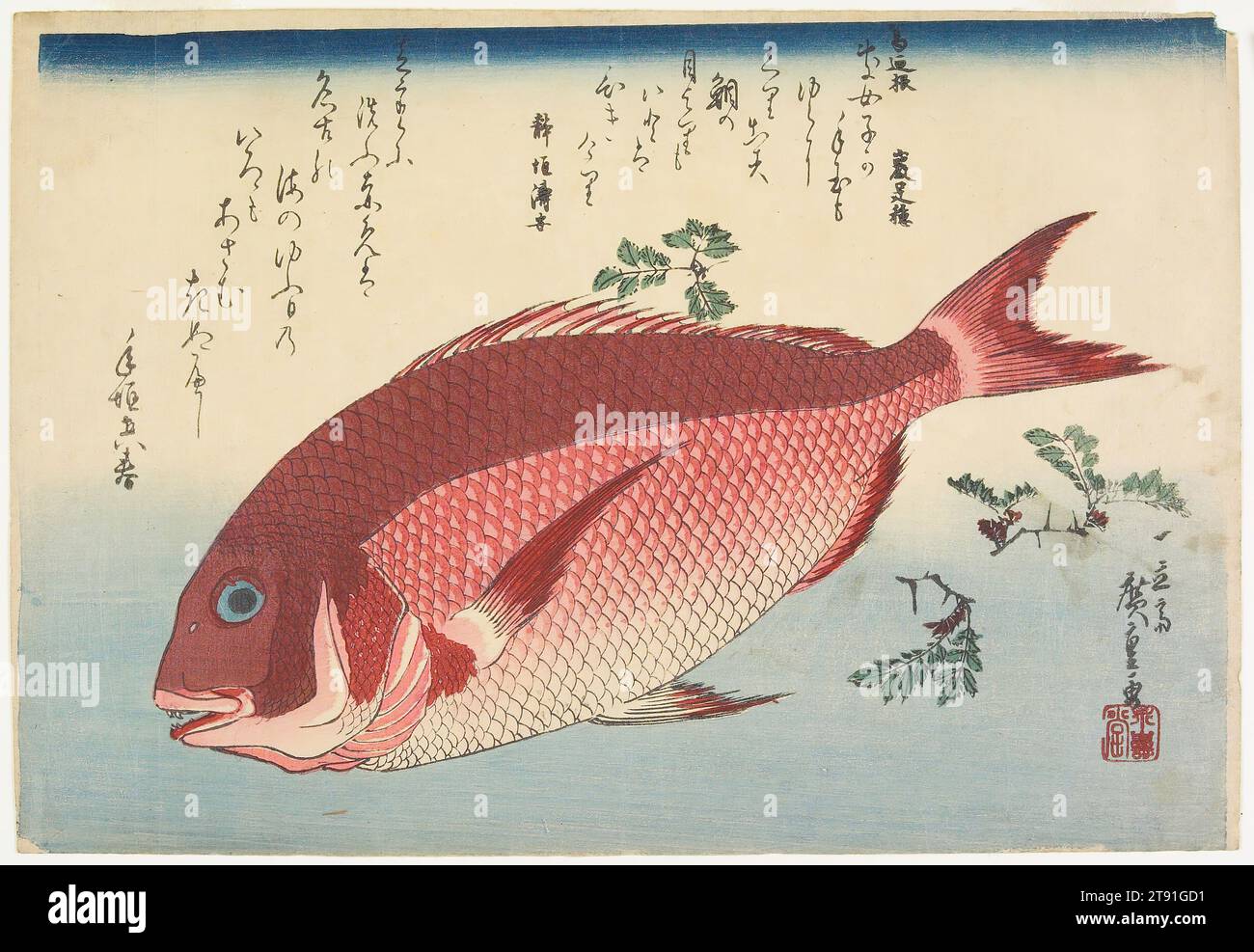 Seebrasse und Sansho Pepper, ca. 1832-1833, Utagawa Hiroshige; Herausgeber: Nishimuraya Yohachi, Japanisch 1797 - 1858, 9 13/16 x 3/16 Zoll (25 x 36 cm) (Bild, horizontal ōban), Holzblock-Druck (nishiki-e); Tinte und Farbe auf Papier, Japan, 19. Jahrhundert Stockfoto