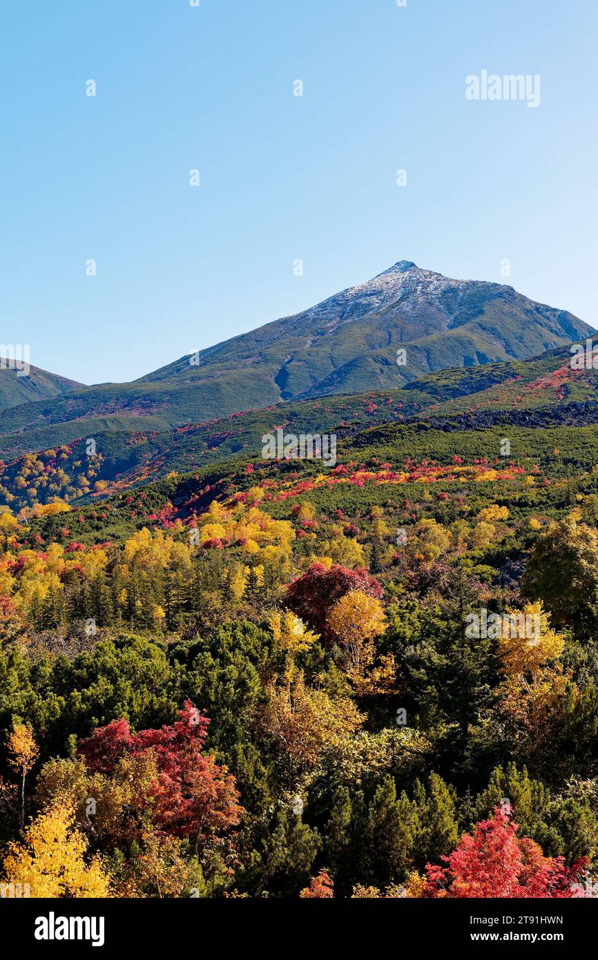 Herbstlaub vom Mt.Tokachi Observatory, Hokkaido, Japan Stockfoto