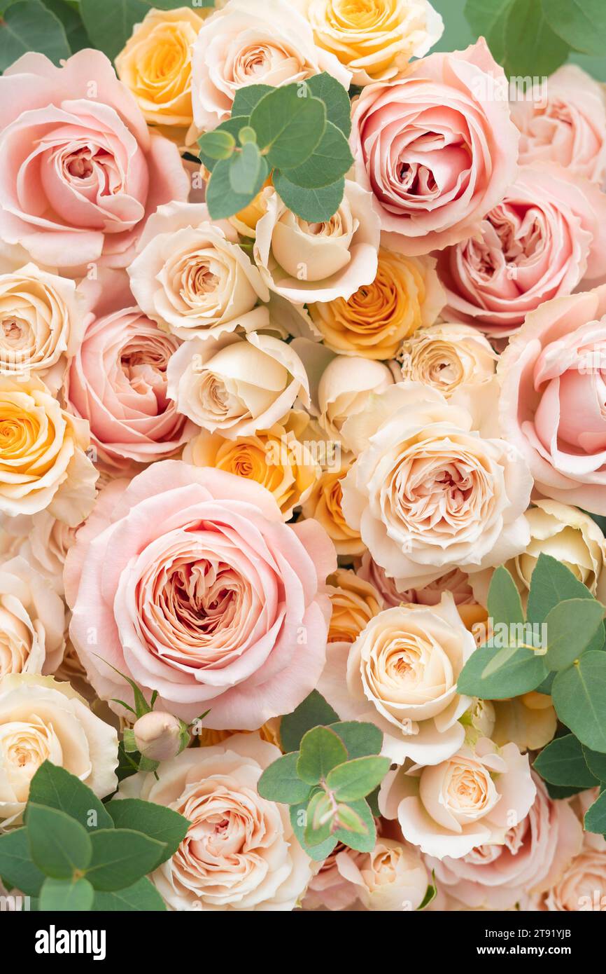 Bunte Blumenarrangements von Rosen und Eukalyptus Stockfoto
