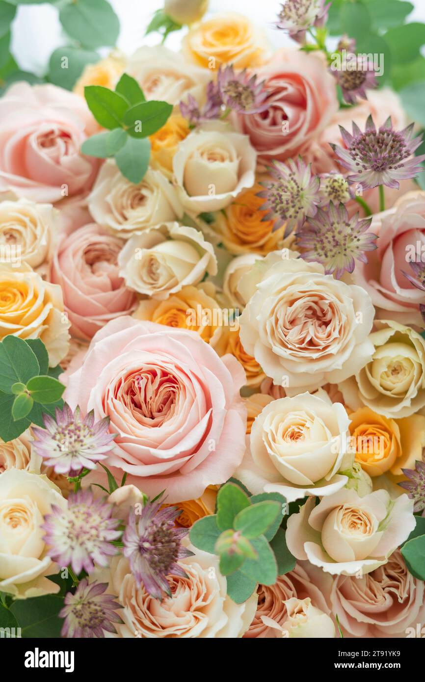 Bunte Blumenarrangements von Rosen und Eukalyptus Stockfoto