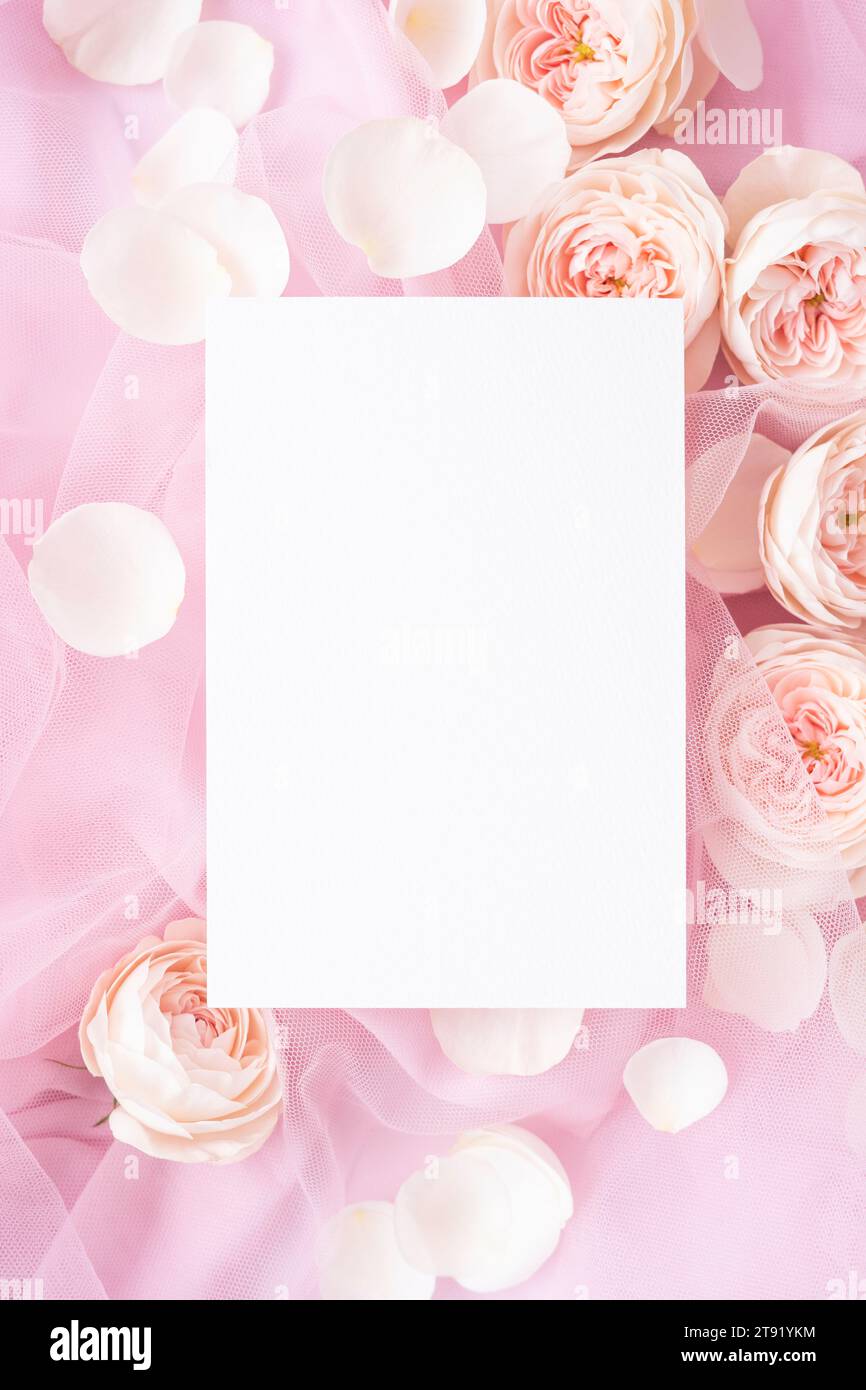 Weißes Papier auf Rosenblüten und Blütenblättern Stockfoto