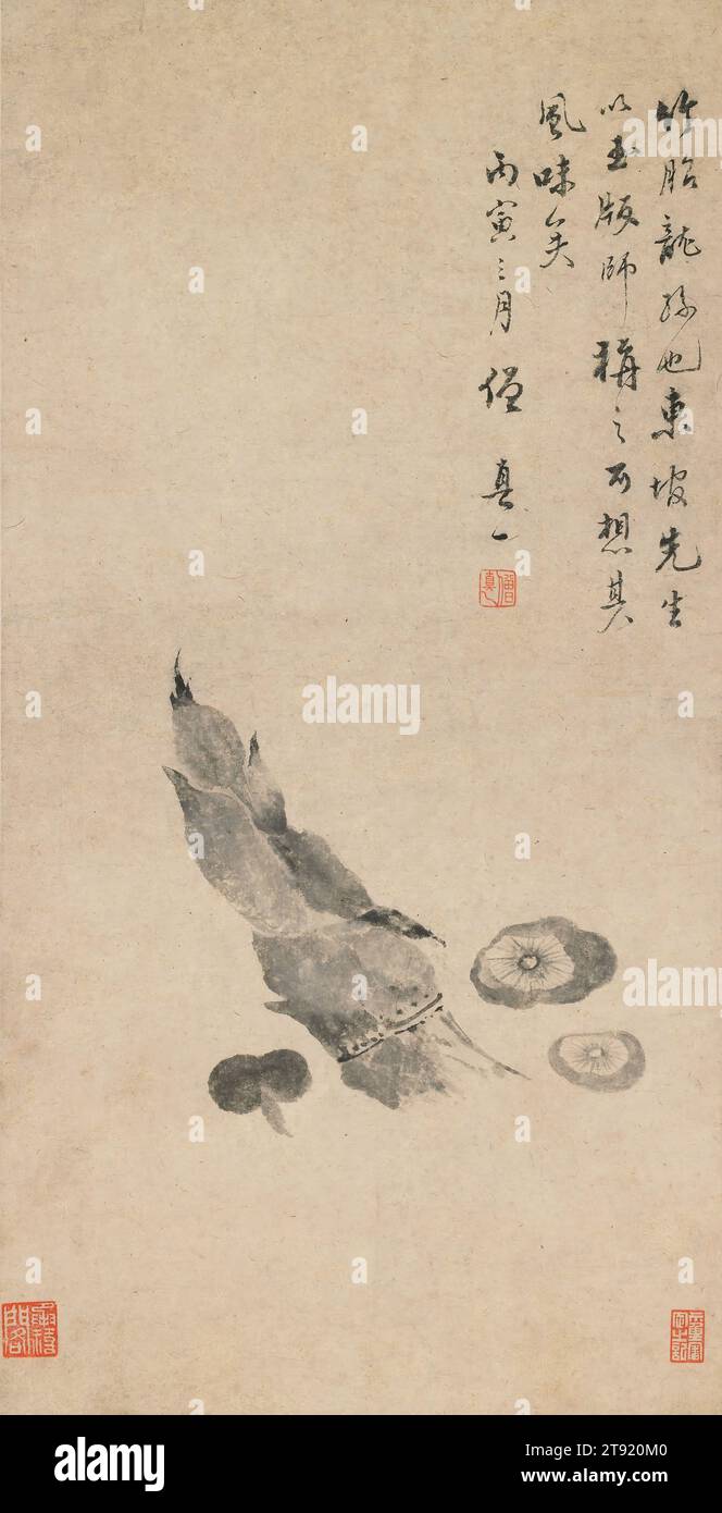 Bambussprossen und Pilze, 1626, Zhen Yi, Chinesisch, ca. 1573 - 1620, 22 11/16 x 11 9/16 cm (57,63 x 29,37 cm) (Bild)61 1/2 x 3/4 Zoll (156,21 x 45,09 cm) (insgesamt, ohne Rolle), Tinte auf Papier, China, 17. Jahrhundert, Zhen Yi, dessen Vorname „nutzlos“ war (Wu Yong), stammte aus Yangzhou. Zunächst studierte er Klassik und Konfuzianismus, wurde aber ein bekannter buddhistischer Mönch in Hangzhou. Er war in Chan-Philosophie eingetaucht und schrieb sowohl Poesie als auch Prosa und war ein erfahrener Maler. Über 60 seiner Schriften wurden veröffentlicht. Dieses seltene Gemälde trägt eine kurze Inschrift von ihm Stockfoto