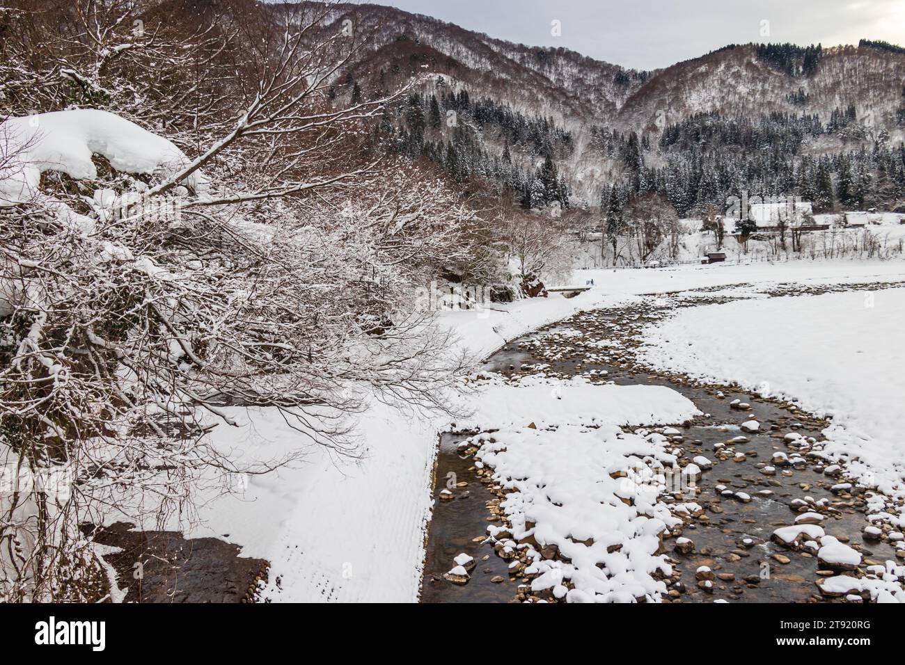 Die historischen Dörfer Shirakawa-gō, Japan, die zum UNESCO-Weltkulturerbe gehören, mit großen Häusern, die mit steil geneigten Strohdächern bedeckt sind. Stockfoto