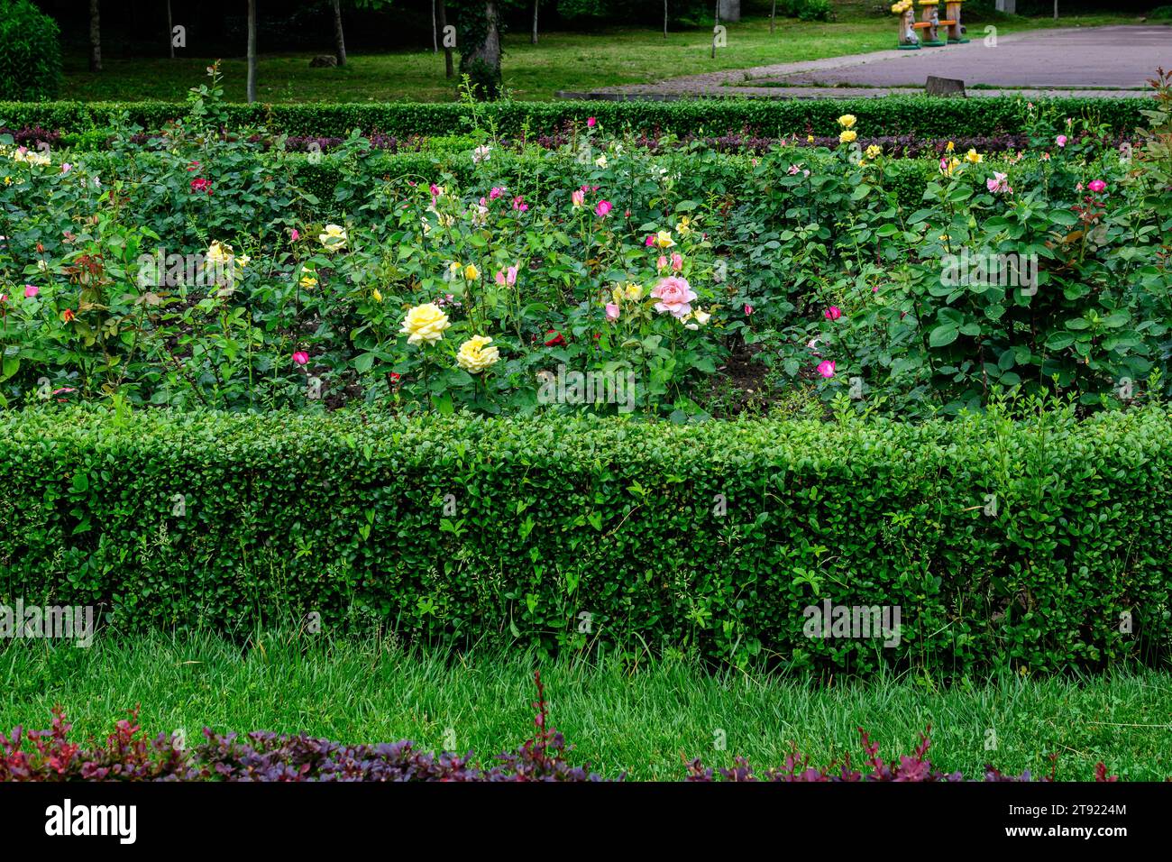 Lebendige Landschaft im Alexandru Buia Botanical Garden von Craiova in Dolj County, Rumänien, mit Blumen, Gras und großen grünen Tres in einer schönen Sonne Stockfoto