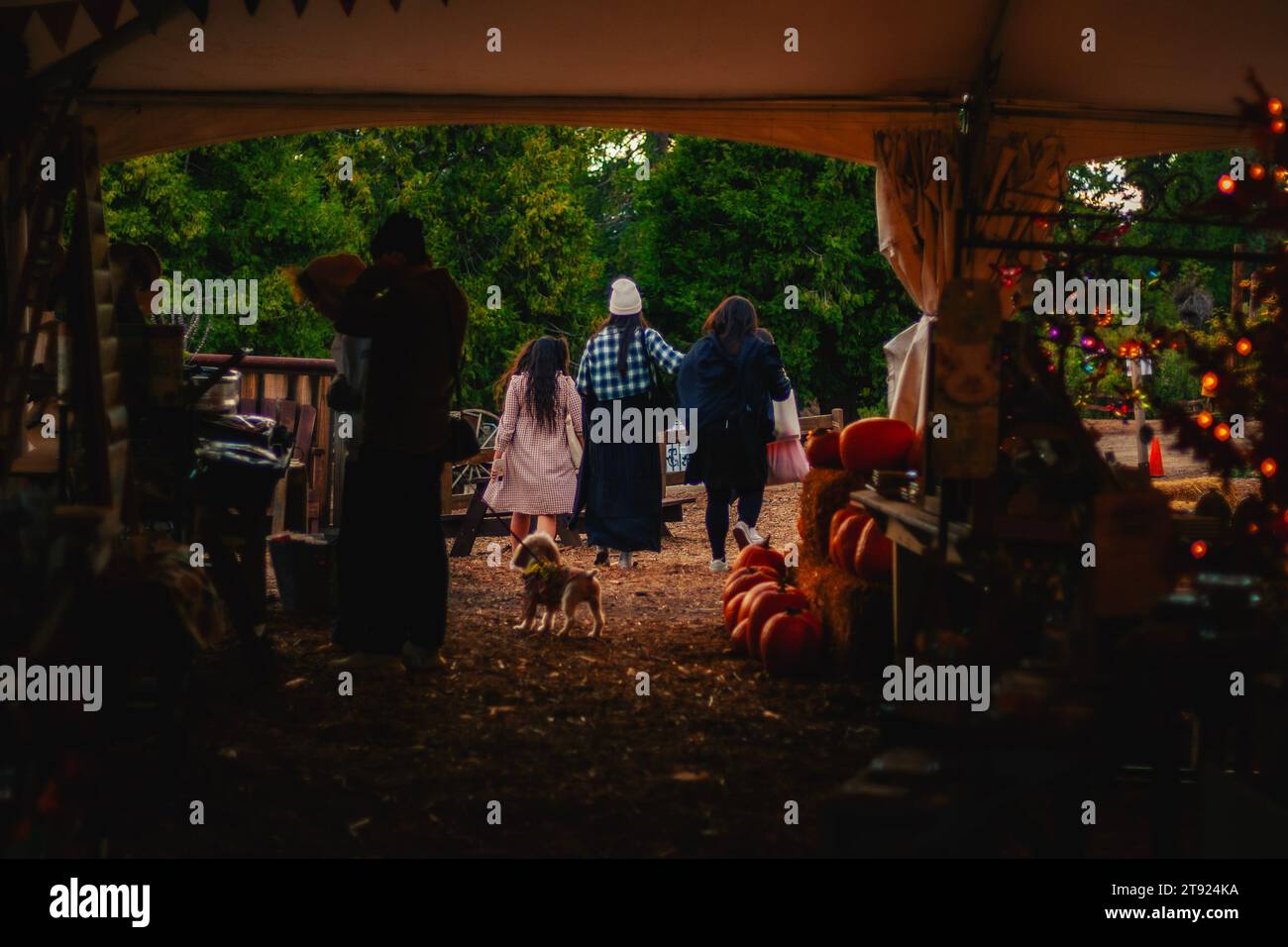 Drei Frauen in trendigen, rustikalen Herbstoutfits an einem rustikalen Bauernstand auf dem Land Stockfoto