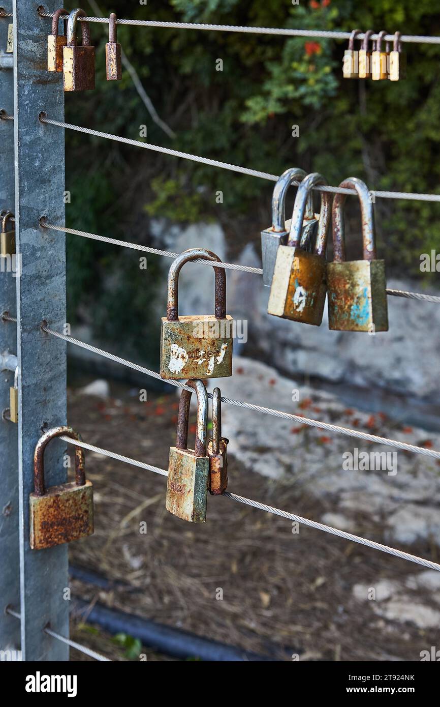 Vorhängeschlösser symbolisieren Einheit und Liebe für immer. Schlösser hängen an Zaunseilen im Park. Diese Tradition des Verriegelens von Schlössern stammt aus dem Glauben, dass wenn ein c Stockfoto