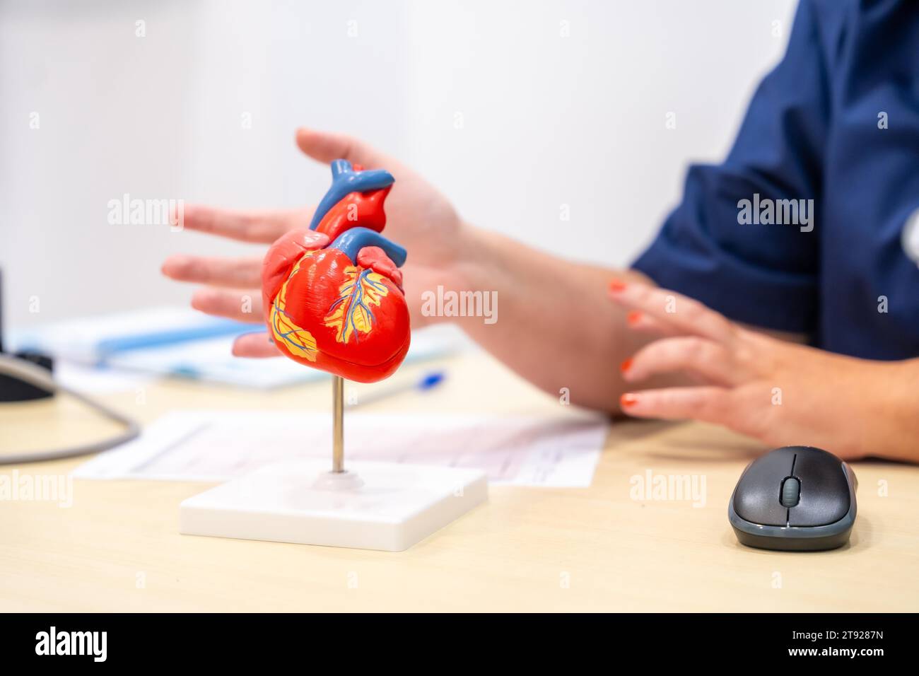 Nahaufnahme eines nicht erkennbaren Kardiologen mit einem Herzformmodell, um einem Patienten etwas zu erklären Stockfoto