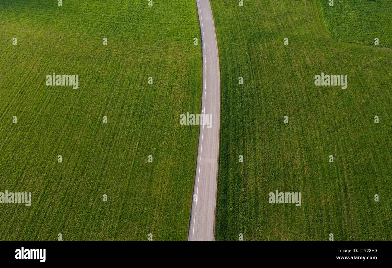 Die Landstraße führt durch eine grüne Wiese, Oberösterreich, Österreich Stockfoto