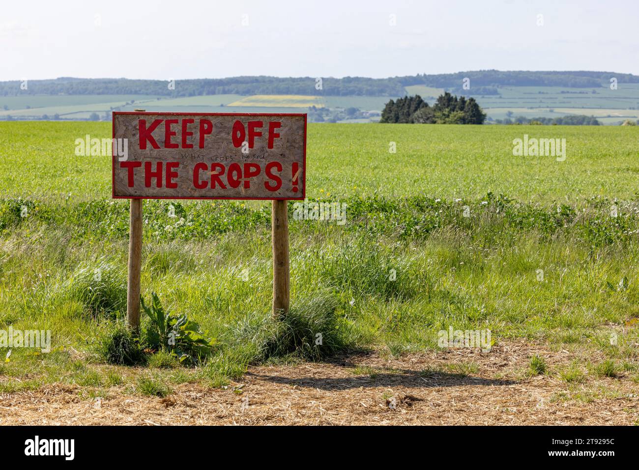 Einfache Holztafel, halten Sie die Ernte fern, halten Sie sich vom Feld fern, Diddly Squat, bekannt aus Clarkson's Farm, Chipping Norton, England, Großbritannien Stockfoto