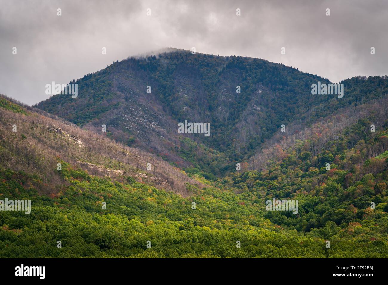 Great Smoky Mountains National Park in North Carolina Stockfoto