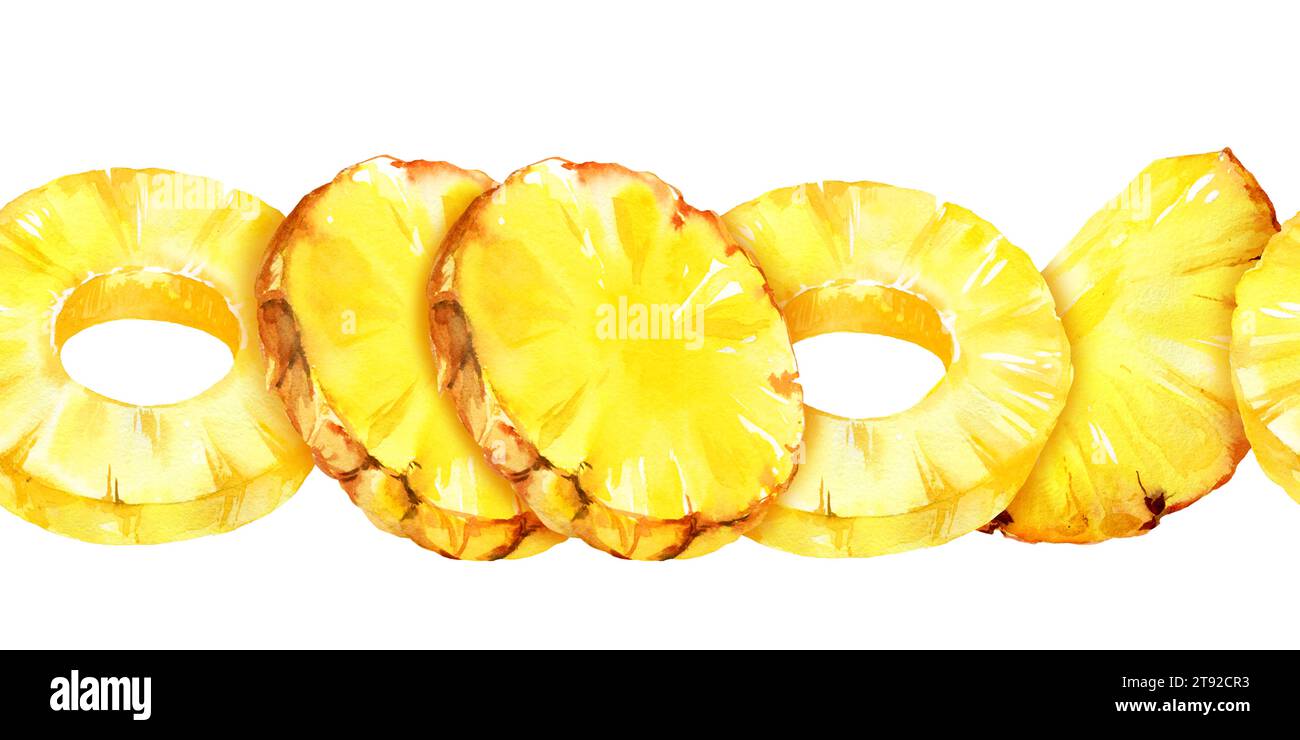 Aquarellrahmen mit Ananas, Ringen und Scheiben reifer Ananas, Skizze tropischer Früchte, handgezeichnete Illustration, Lebensmittelillustration ist Stockfoto