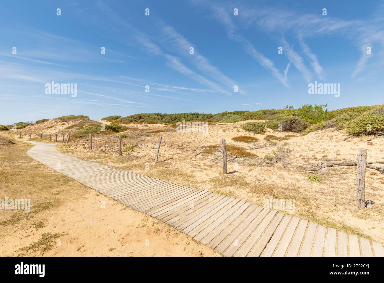 Blick auf den Strand Pointe du Payre, Jard sur Mer, Frankreich an einem Sommertag, Vendée, Frankreich Stockfoto
