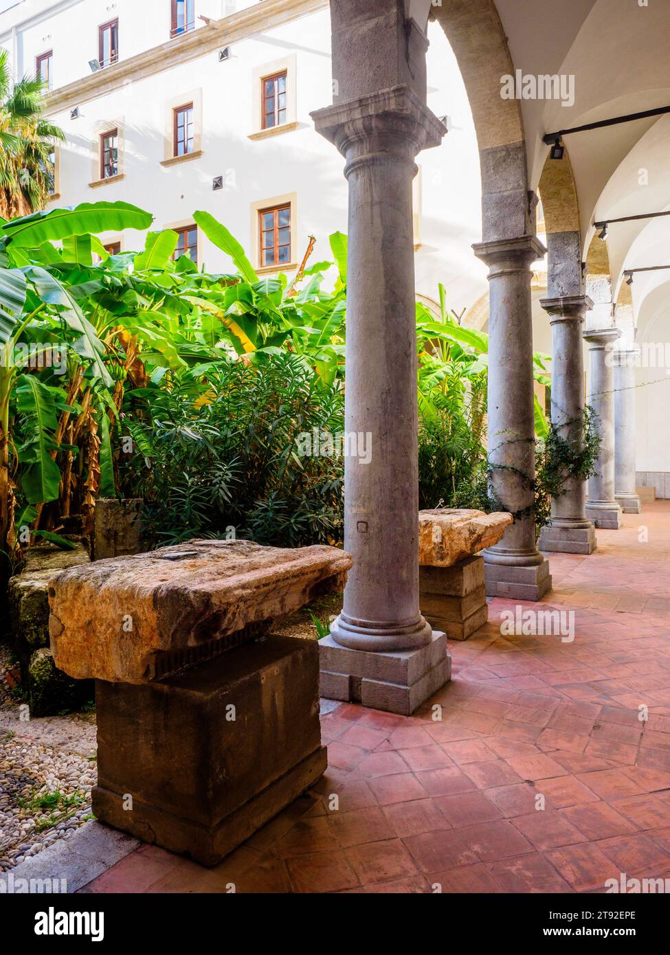 Bananenbäume im Innenhof des Archäologischen Museums Antonino Salinas - Palermo, Sizilien Stockfoto