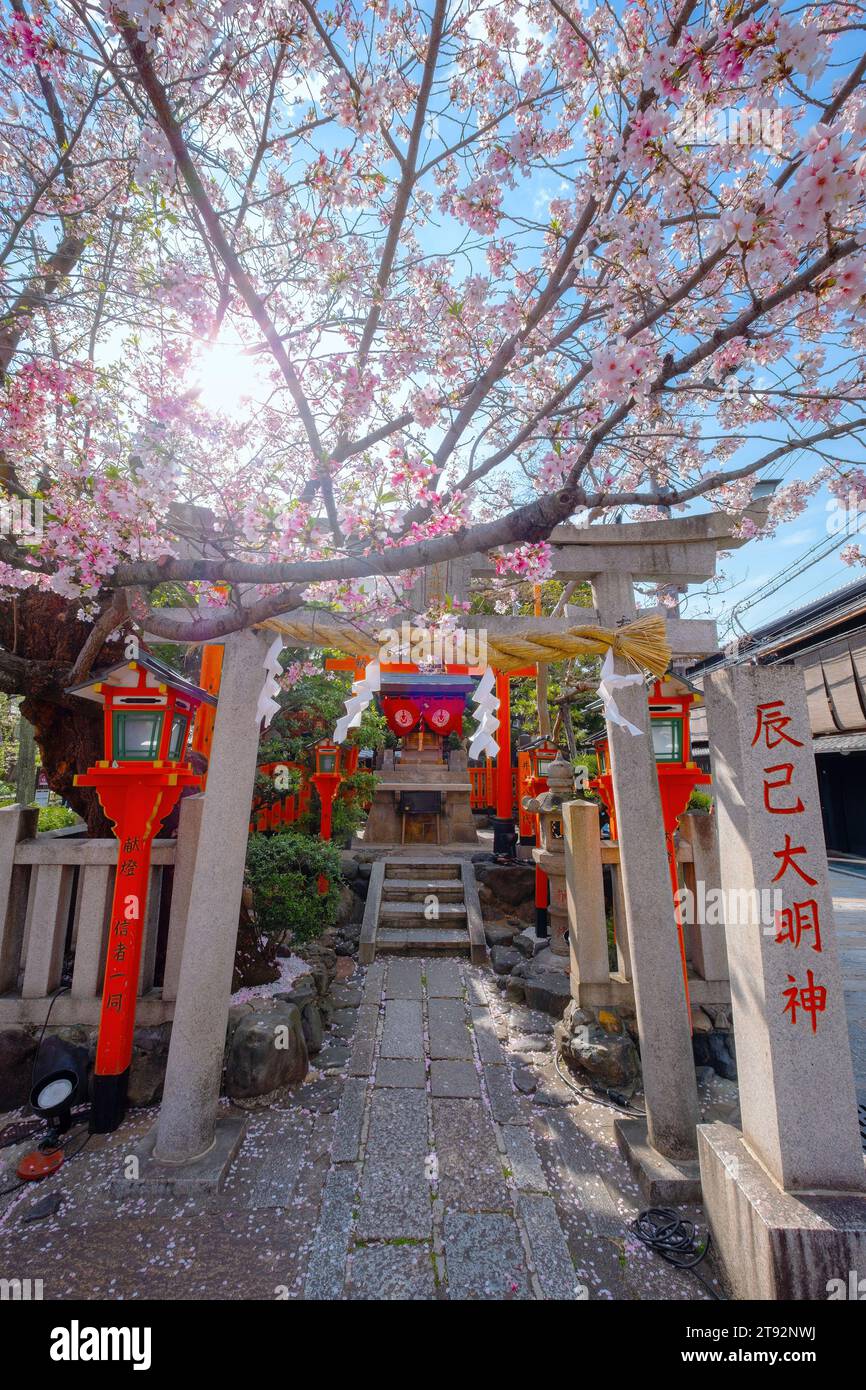 Kyoto, Japan - 2. April 2023: Tatsumi Daimyojin-Schrein in der Nähe der Tatsumu-Bashi-Brücke im Stadtteil Gion Stockfoto