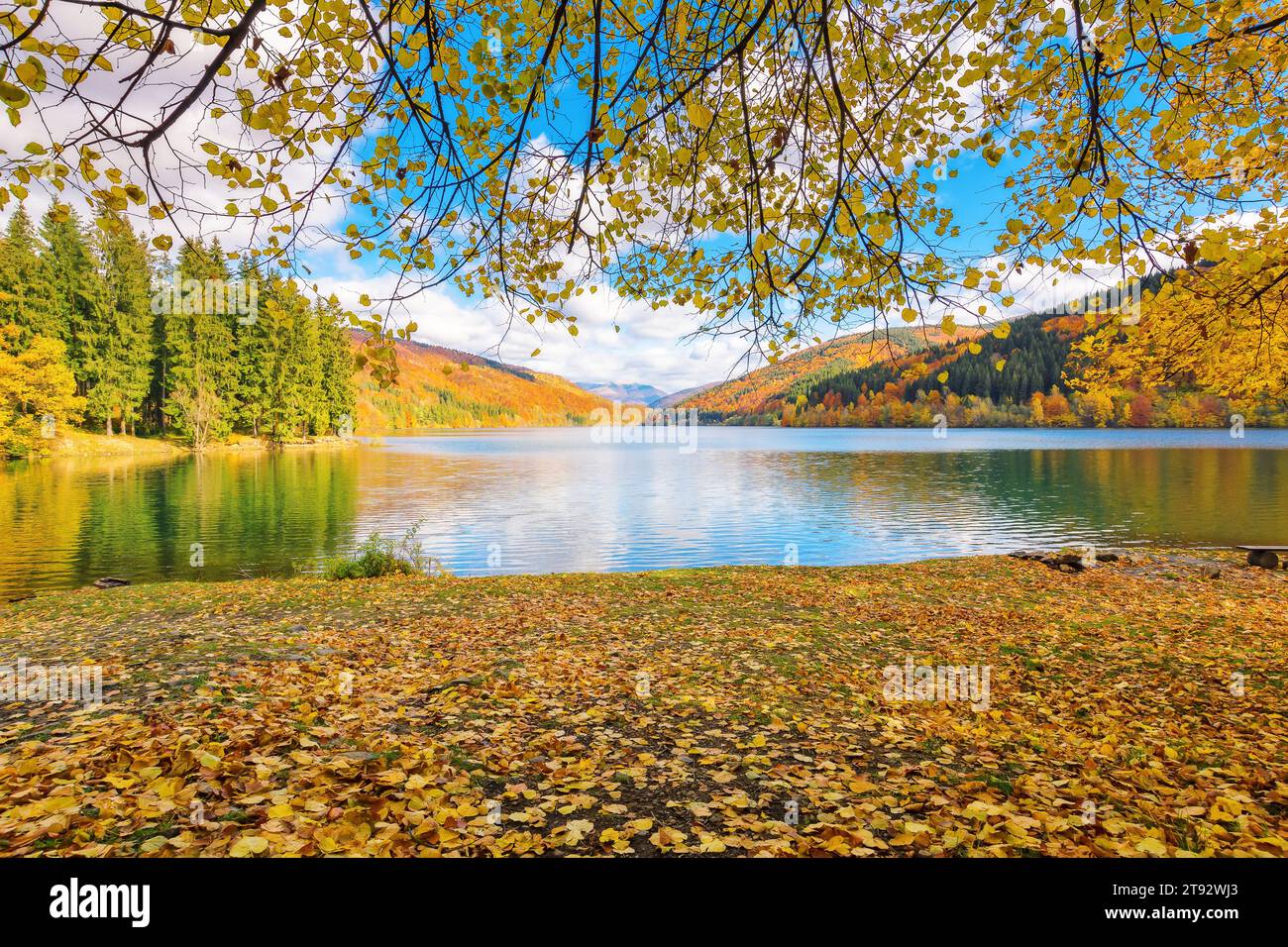 Ruhige Naturlandschaft am See. Wald in hellen Herbstfarben am Ufer, bedeckt mit gelbem Laub. Bergige Landschaft an einem sonnigen Tag reflektierend Stockfoto