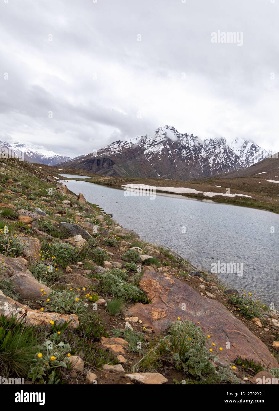 Der Pensila-See, umgeben von schneebedeckten Gipfeln, enthüllt einen ruhigen Himmel. Wildblumen zieren Wiesen und spiegeln die Harmonie der Natur im ruhigen Wasser wider. Stockfoto