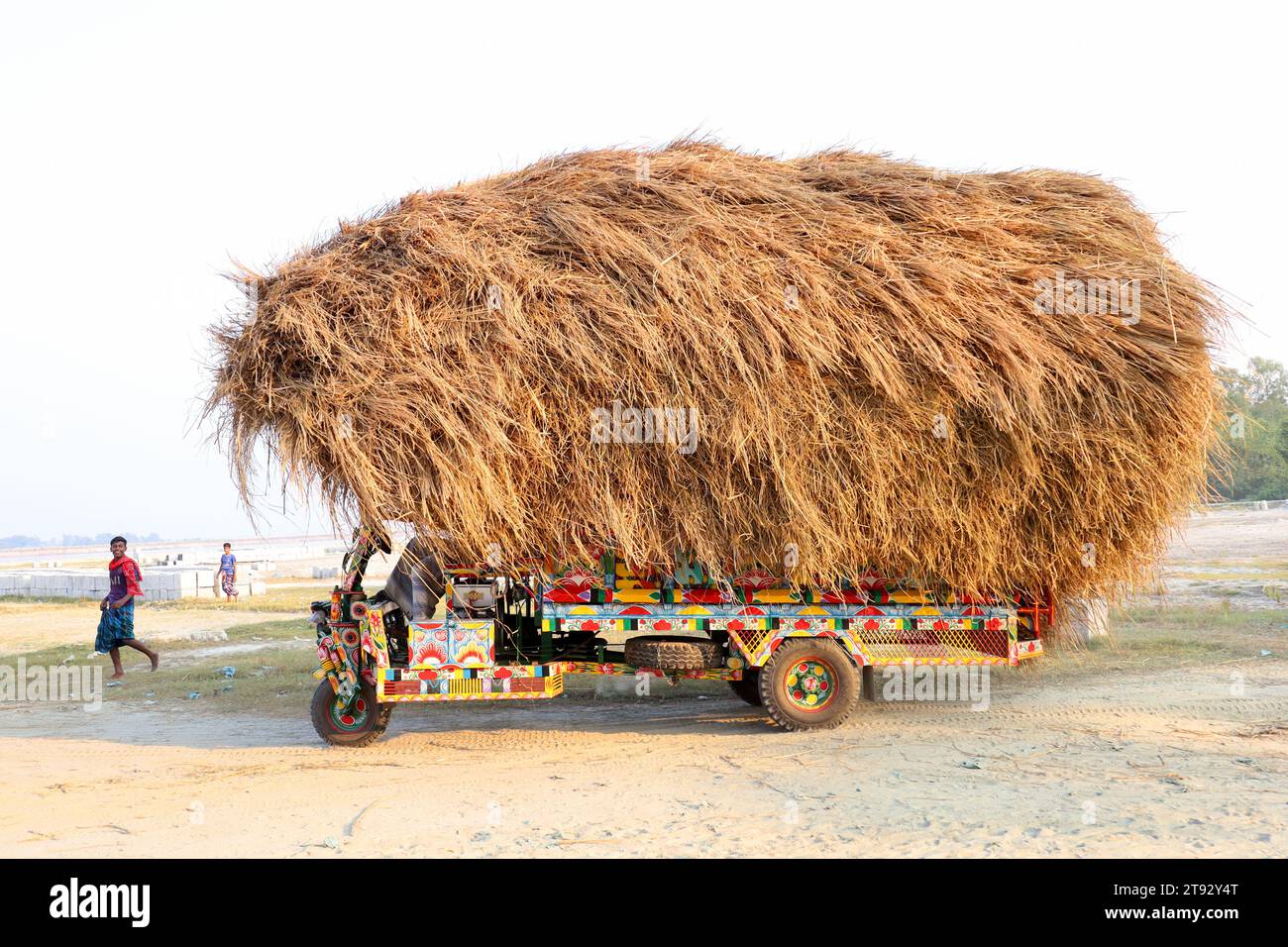 Kazipur, Sirajganj, Bangladesch. November 2023. Fahrer transportieren Reisstroh in kleinen Lastwagen in Kazipur Upazila, Bezirk Sirajganj, Bangladesch. Paddy Stroh ist ein Nebenprodukt für Landwirte und sie verkaufen es an Großhändler für 5 bis 7 US-Dollar pro 100 kg. Das Stroh wird dann von den Großhändlern für zwischen 8 und 10 US-Dollar verkauft. Die Landwirte verwenden Heu als Futter und Einstreu für ihre Viehzucht. Stroh wird für verschiedene andere Zwecke verwendet, darunter für Haustüren und eine Form von Biokraftstoff. Quelle: ZUMA Press, Inc Quelle: ZUMA Press, Inc./Alamy Live News Stockfoto