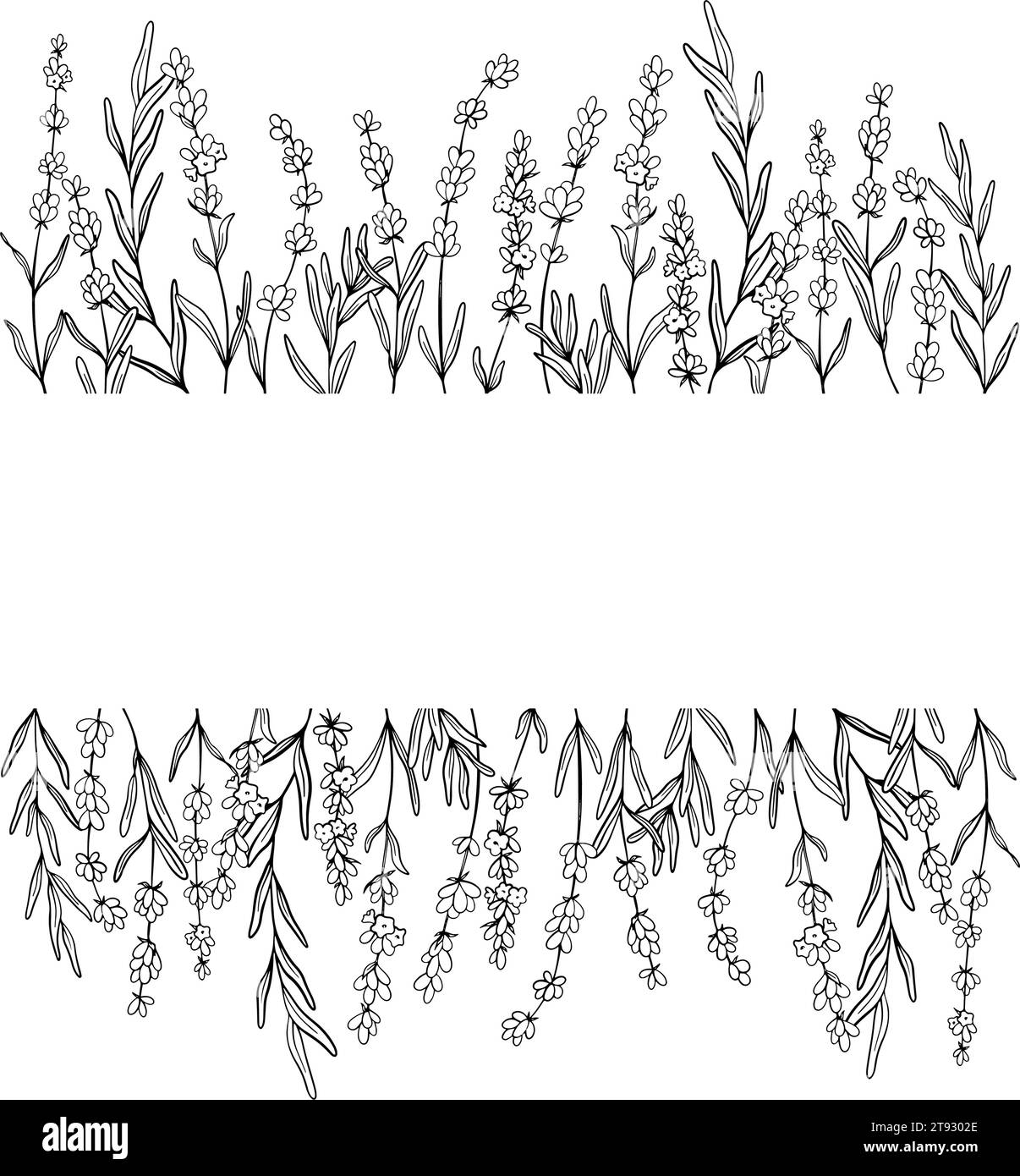 Rahmen der Zeichnung von Lavendelblumen. Handgezeichnete schwarze Skizze. Design-Rahmen für Hochzeitseinladungen, Logos, Karten, Verpackungen und Etiketten Stock Vektor