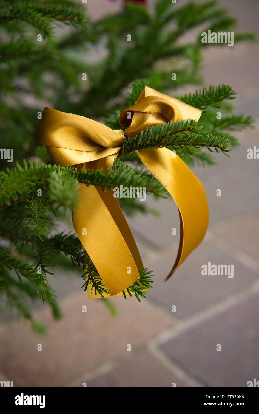 Tauchen Sie ein in die Weihnachtsstimmung mit einem Blick auf einen Weihnachtsbaum, der von einem leuchtenden goldenen Band geschmückt ist, vor dem Hintergrund von hellbraun und W Stockfoto