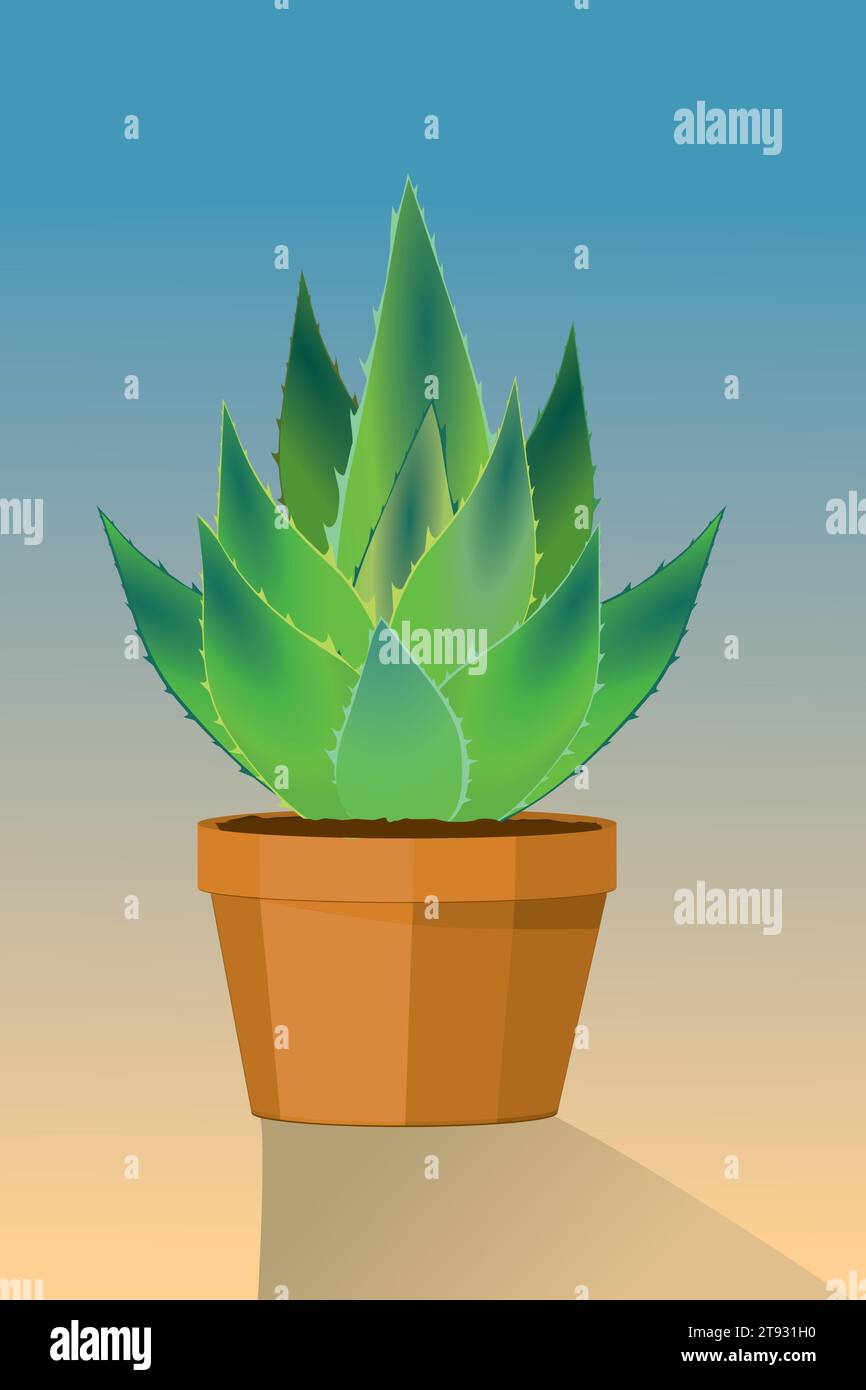 Eine Illustration einer Aloe-Vera-Topfpflanze mit verlaufendem Hintergrund Stock Vektor