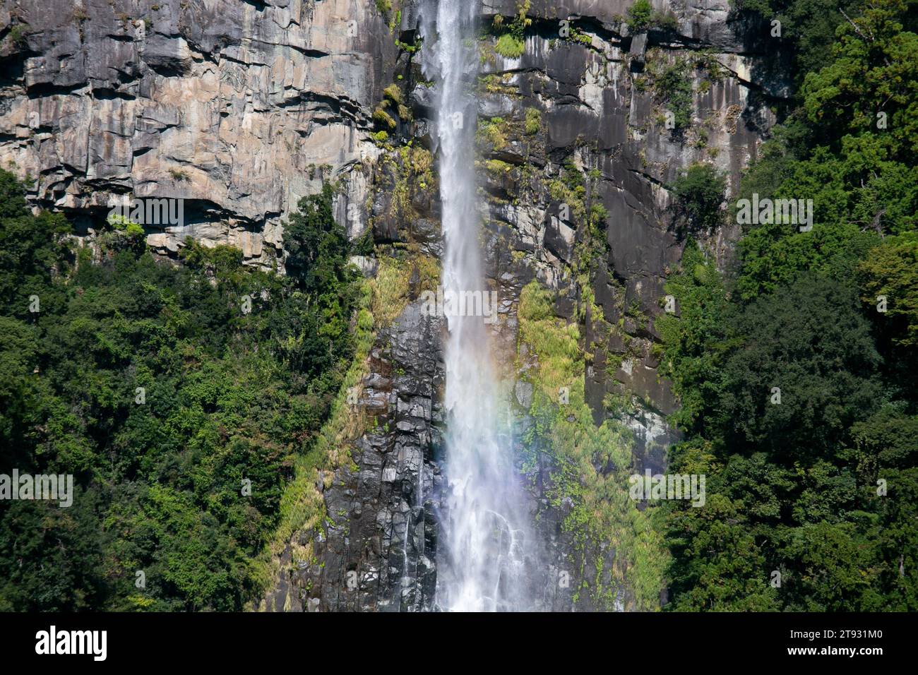 Der Nachi-Wasserfall ist ein großer permanenter Wasserfall in Japan in der Präfektur Wakayama. Stockfoto