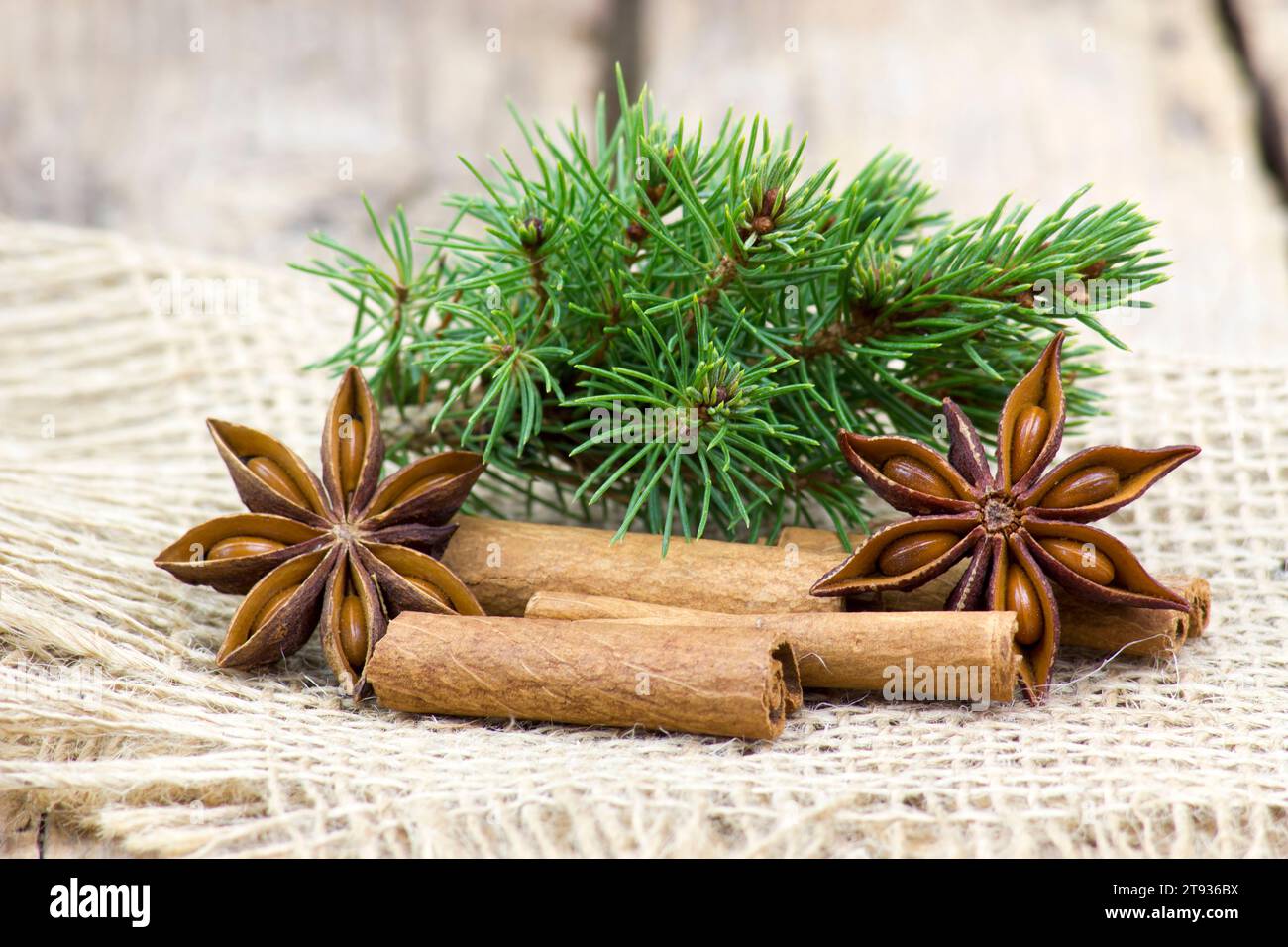 Zimtstangen und Sternanisgewürze - weihnachtsdekoration Stockfoto