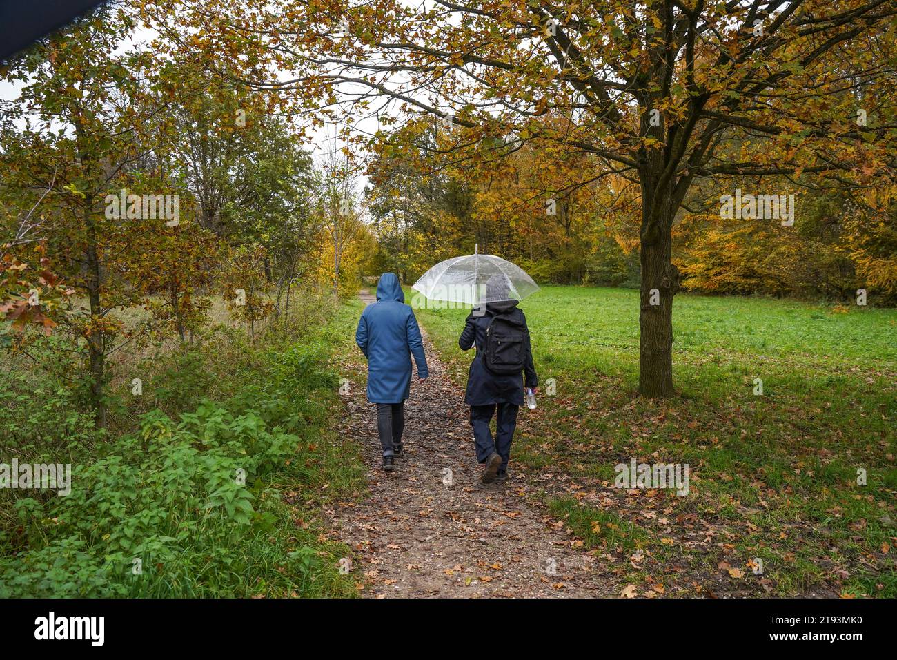 Zwei Frauen gehen im Herbst in Holland auf einem Waldweg, Limburg, Niederlande. Stockfoto