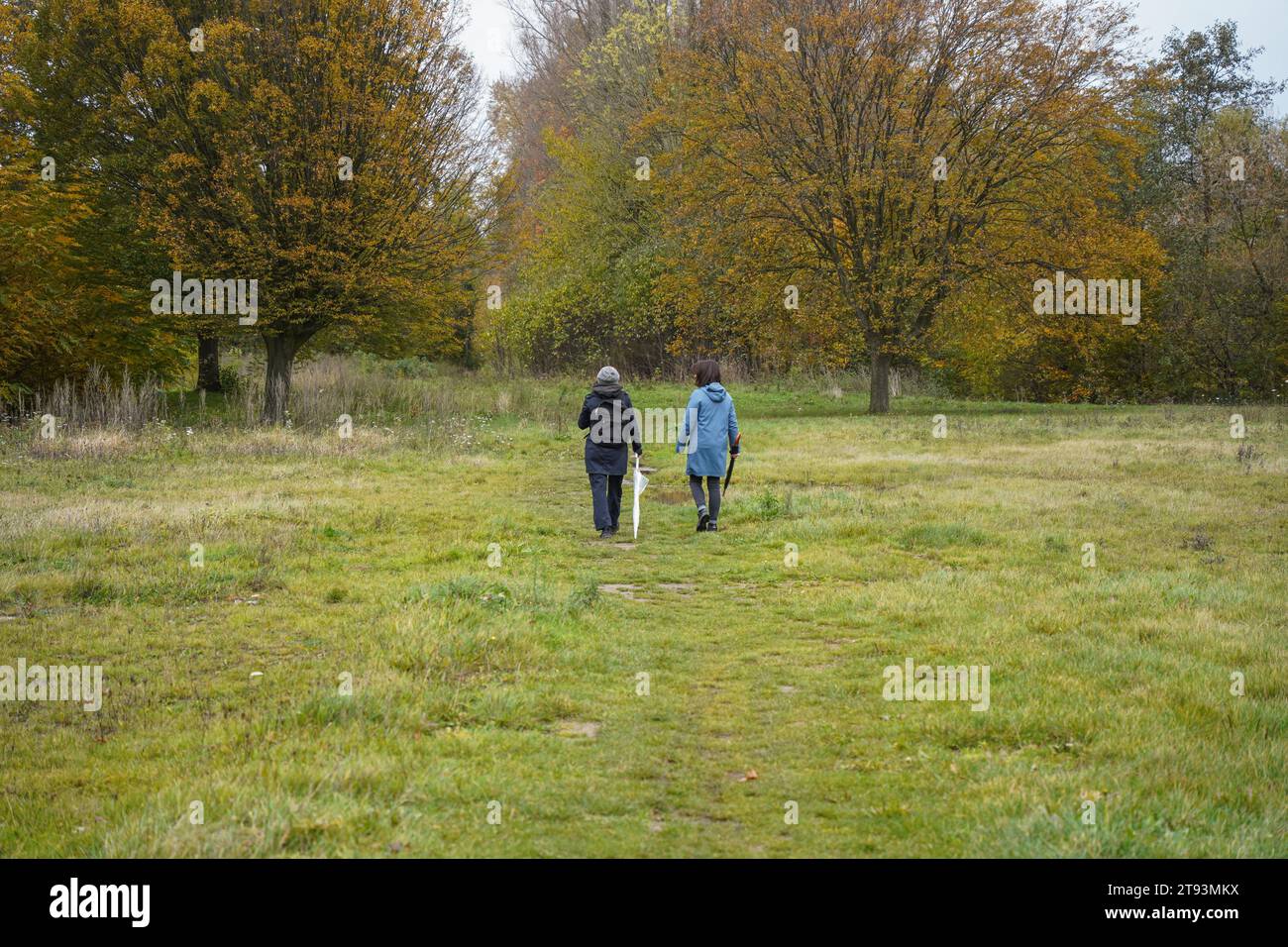 Zwei Frauen gehen im Herbst in Holland auf einem Waldweg, Limburg, Niederlande. Stockfoto