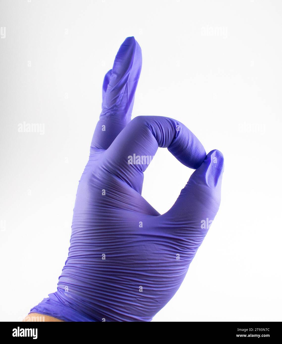 Nahaufnahme einer Hand mit Handschuhen, die einen Geisterpfeffer hält Stockfoto
