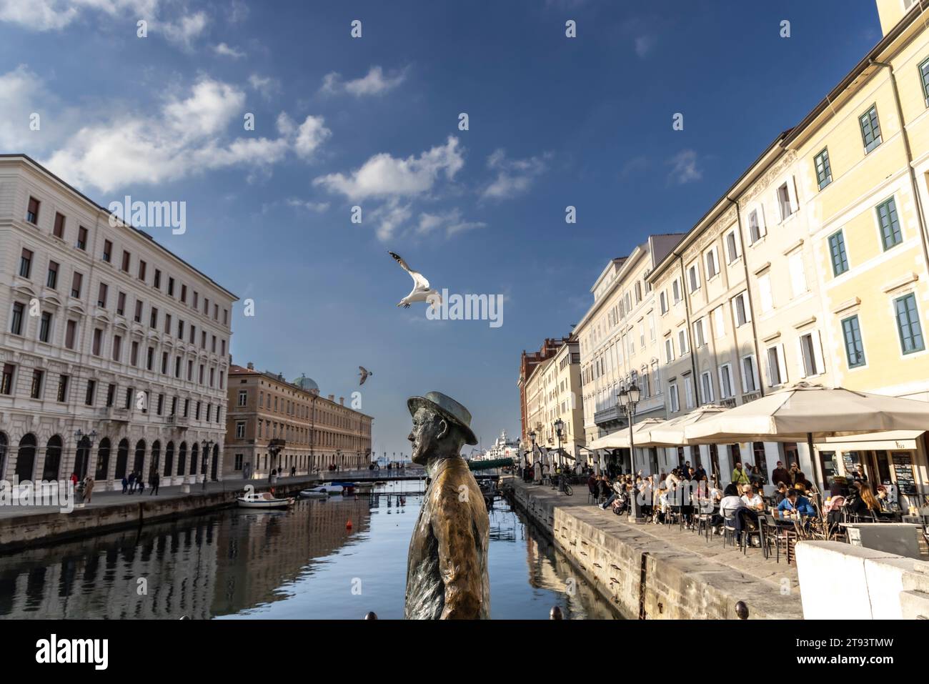 TRIEST, ITALIEN – 19. November 2023: Möwen umkreisen die Statue des irischen Schriftstellers James Joyce auf der Brücke von Ponte Rosso in Triest Stockfoto