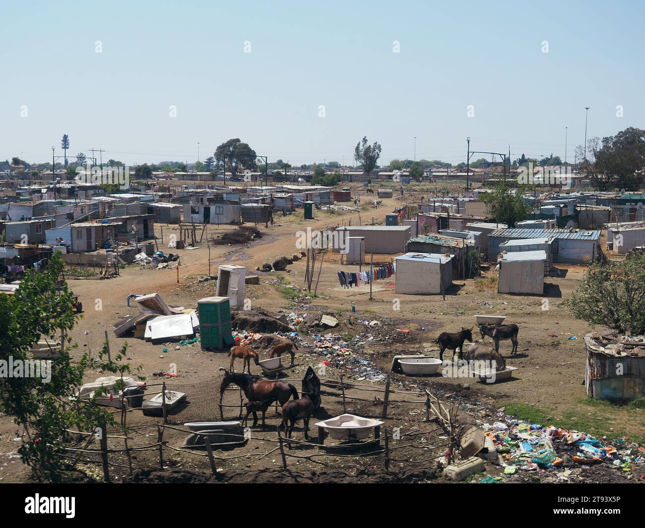 Straßenszene in Soweto Township, Provinz Gauteng, Südafrika mit viel Müll, kleinen Hütten, Pferden und Eseln. Stockfoto