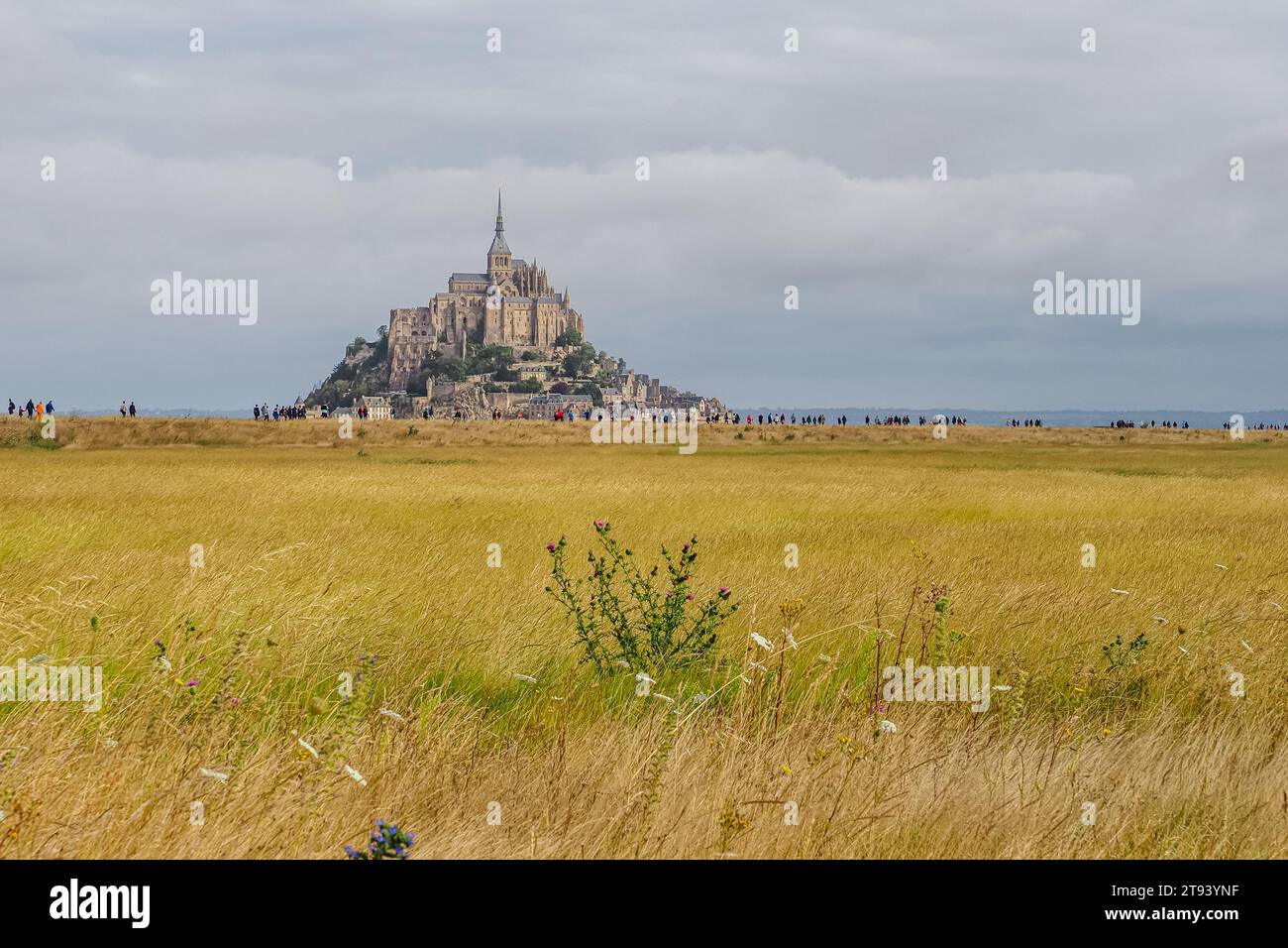 Panoramablick auf den felsigen Mont-Saint-Michel. Viele Touristen fahren jeden Tag durch die wunderschöne Landschaft zur Gezeiteninsel. Bewölkter und regnerischer Tag. Stockfoto