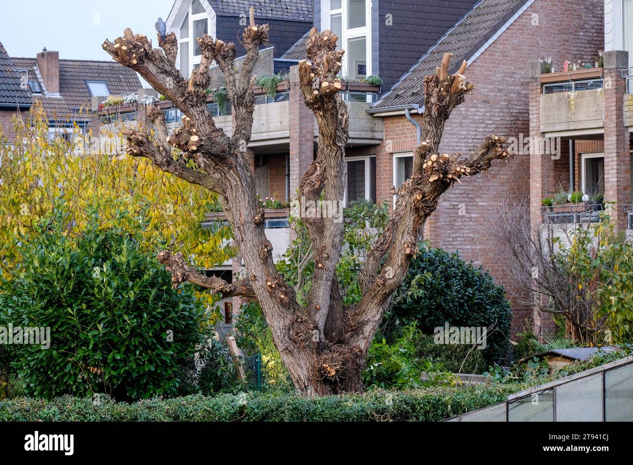 Privatgarten Fotos und Bildmaterial in hoher Auflösung Alamy