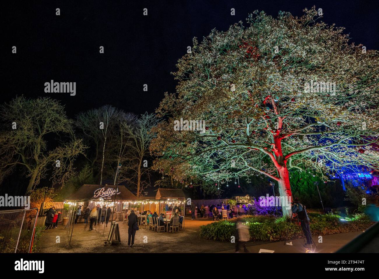 Rechts Harlow Carr Lightshow. RHS Glow Light Ausstellung. Stockfoto