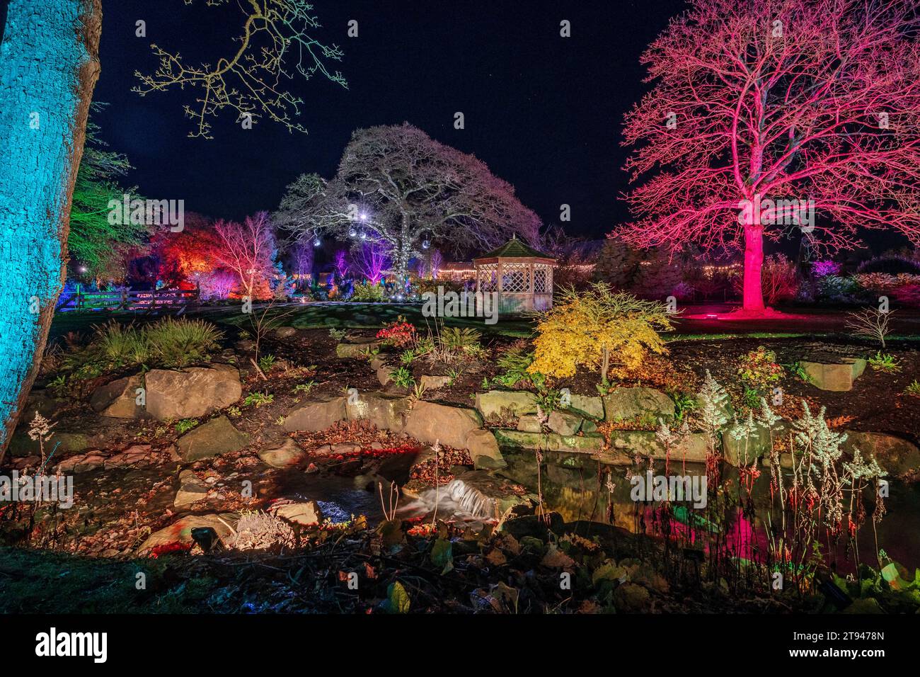 Rechts Harlow Carr Lightshow. RHS Glow Light Ausstellung. Stockfoto