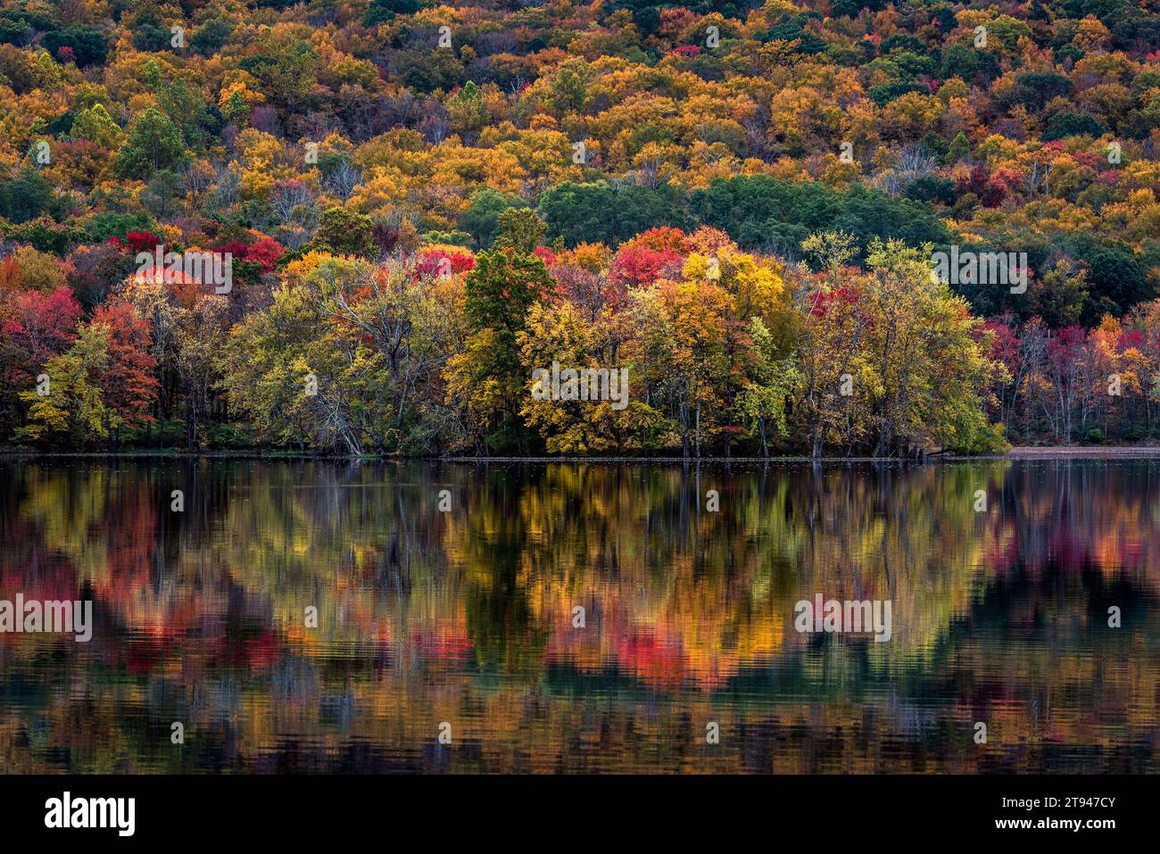 Die herbstliche Wasserfontlandschaft im East Branch Reservoir. Stockfoto