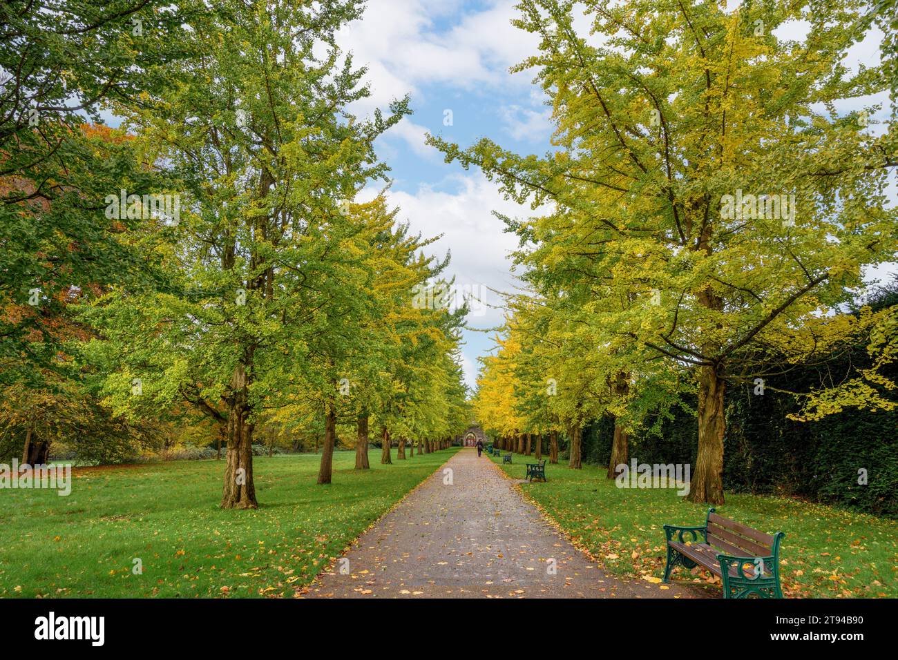Bute Park im Herbst, Cardiff, Wales, Großbritannien Stockfoto