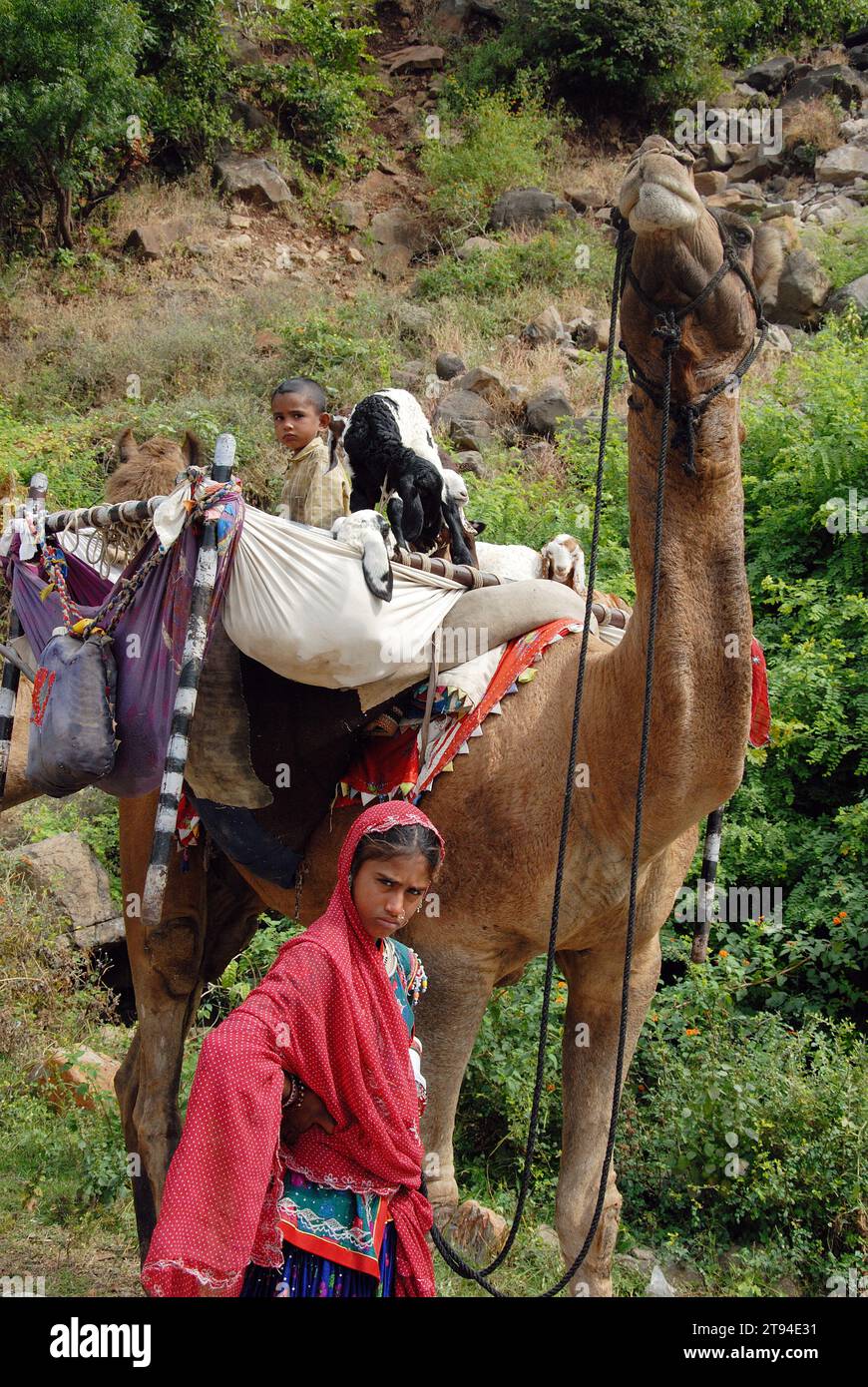 Die Banjara-Frauen in ihrer alten Mode von Kleidung und Schmuck sind vielleicht die farbenfrohste und raffinierteste aller Stammesgruppen in Indien. Sie sind die typischen Nomaden, die sich von einem Ort zum anderen wundern und so ein Leben in ihren eigenen Bedingungen führen. Mandu, Madhya Pradesh, Indien. Stockfoto