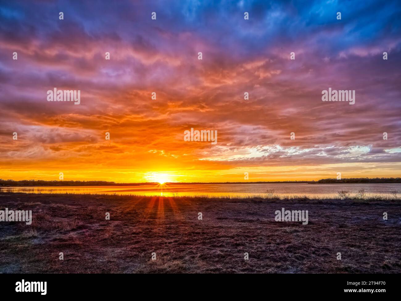 Sonnenuntergang über dem Upper Myakka Lake im Myakka River State Park in Sarasota Florida USA Stockfoto