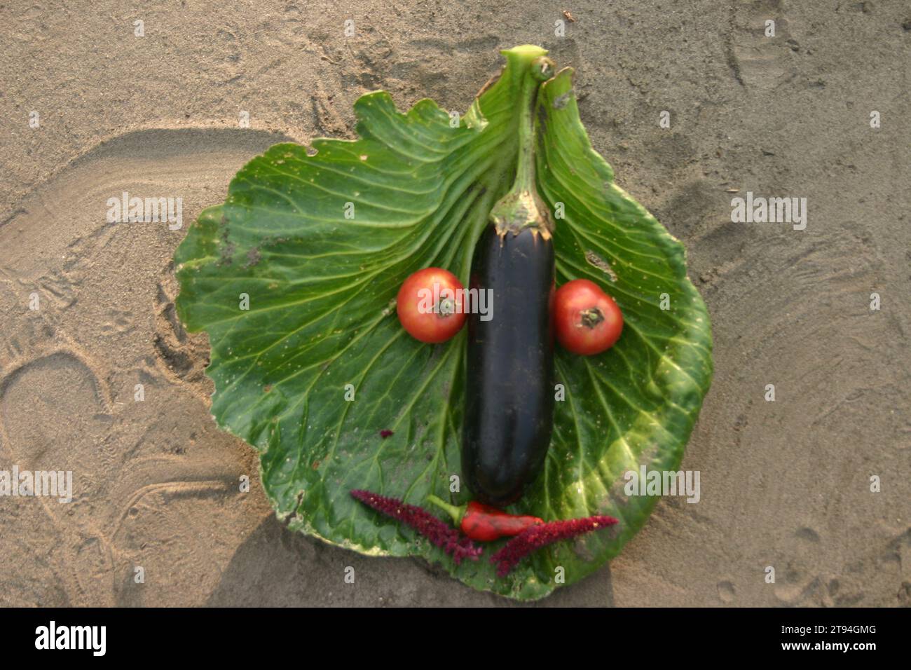 Bild eines alten ukrainischen Künstlers, geschaffen in seinem Garten für den Lebensunterhalt - ein Gesicht aus Gemüse, von ihm gepflanzt Stockfoto