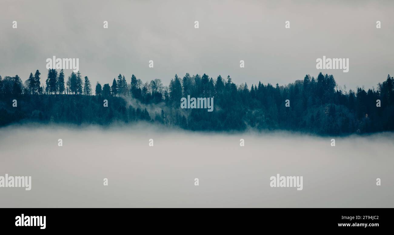 Nebel über Hügel und Wald, dunkle und stimmungsvolle Landschaftsszene Stockfoto