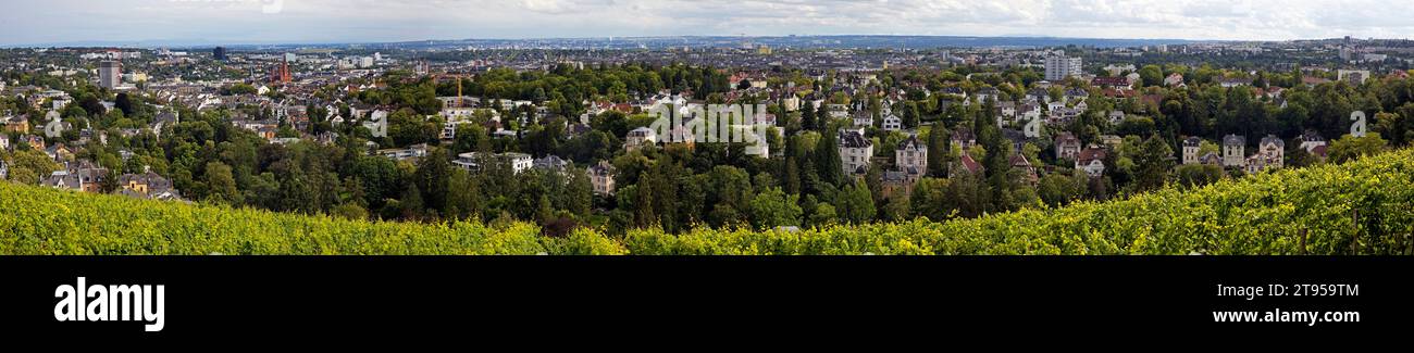 Panoramablick von der Neroberg über die Weinberge zu den Villen des Nerotals und der Landeshauptstadt Wiesbaden, Deutschland, Hessen, Wiesbaden Stockfoto