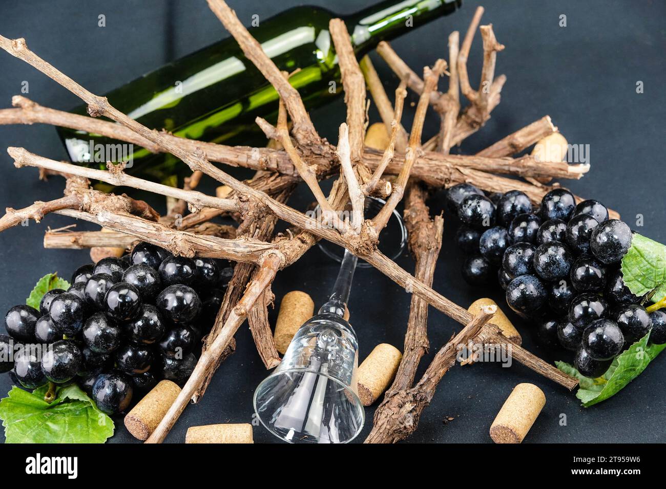 Weinflasche und Glas, schwarze Trauben und ein Haufen Stockfoto
