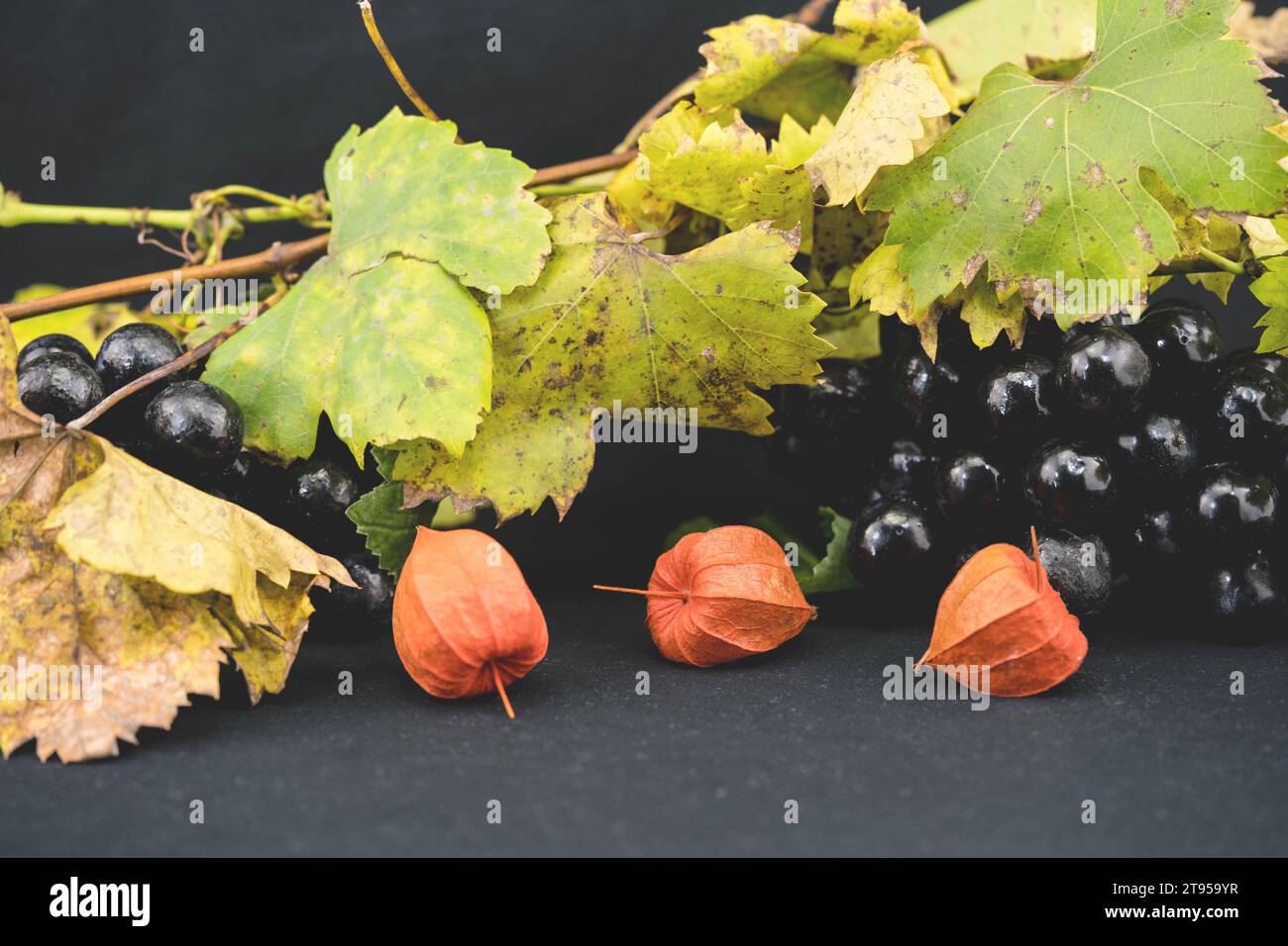 Weinrebe, Rebe (Vitis vinifera), grüne und schwarze Trauben mit Holzschale und Löffel Stockfoto