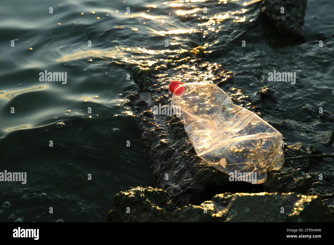 Benutzte Plastikflasche in der Nähe des Wassers am Strand, Platz für Text. Umweltverschmutzung Stockfoto