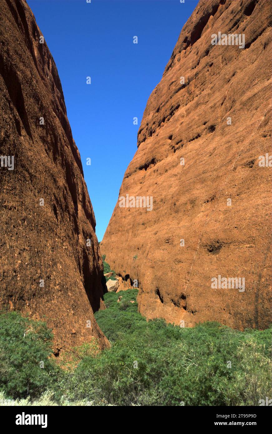 Walpa Gorge, Kata Tjuta / The Olgas, Zentralaustralien Stockfoto