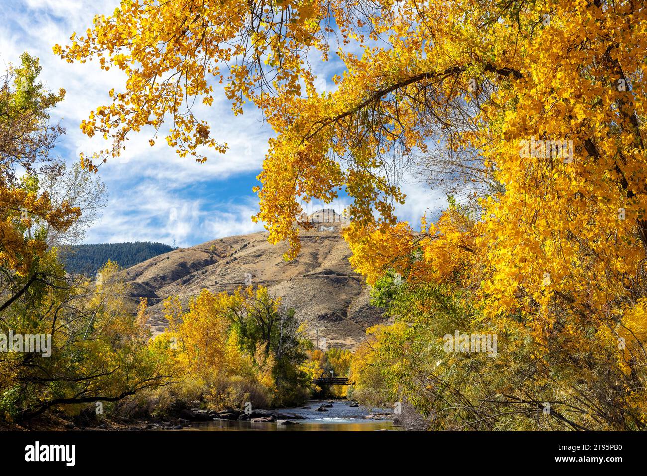 Letter M am Lookout Mountain (für die Colorado School of Mines) – Clear Creek im Herbst – Golden, Colorado, USA Stockfoto