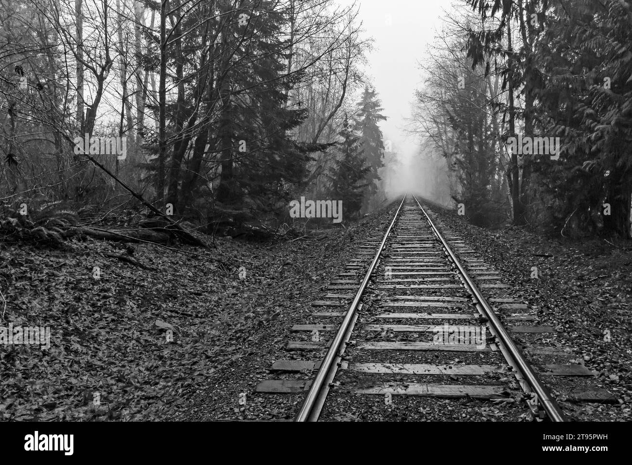 Tracks of the Puget Sound & Pacific Railroad in der Nähe von Shelton, Olympic Peninsula, WA, USA [keine Veröffentlichung des Eigentums; nur redaktionelle Lizenzierung] Stockfoto