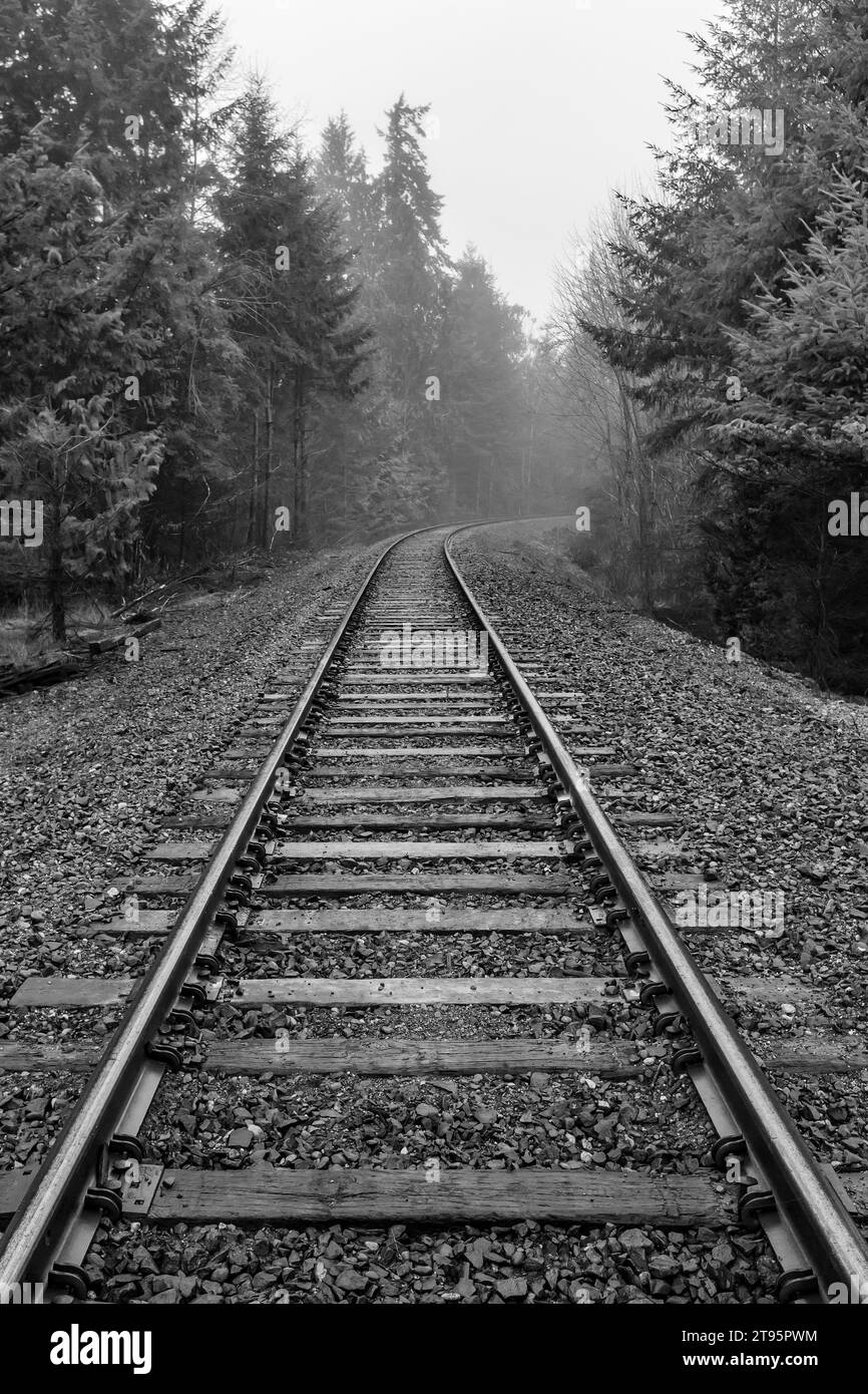 Tracks of the Puget Sound & Pacific Railroad in der Nähe von Shelton, Olympic Peninsula, WA, USA [keine Veröffentlichung des Eigentums; nur redaktionelle Lizenzierung] Stockfoto